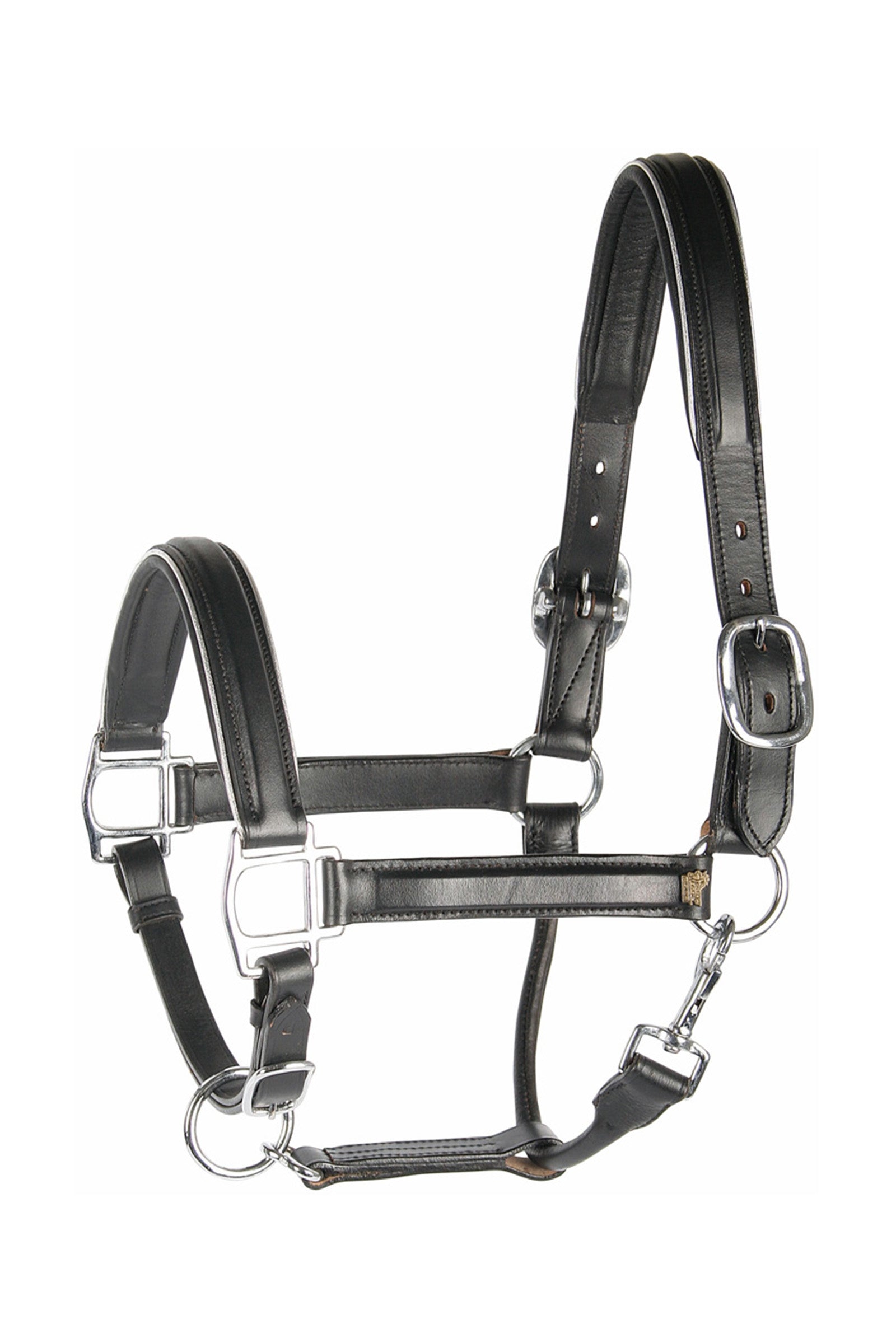 Harry's Horse Leather Headcollar with Piping Grimma & grimskaft