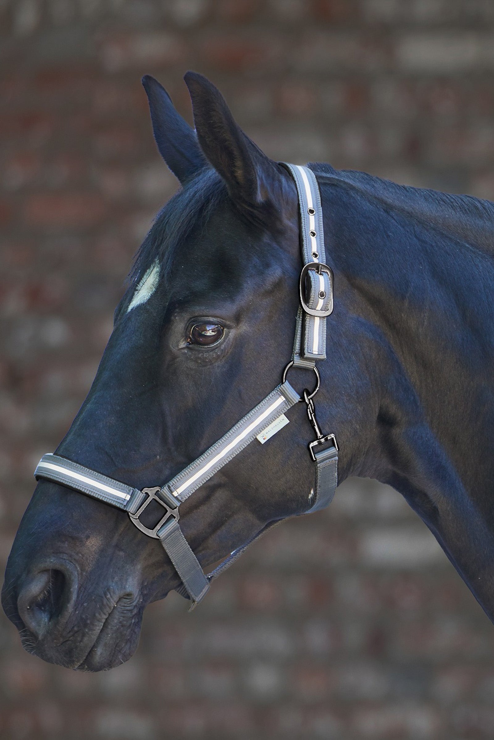 Waldhausen Reflex Stripe Halter Grimma & grimskaft