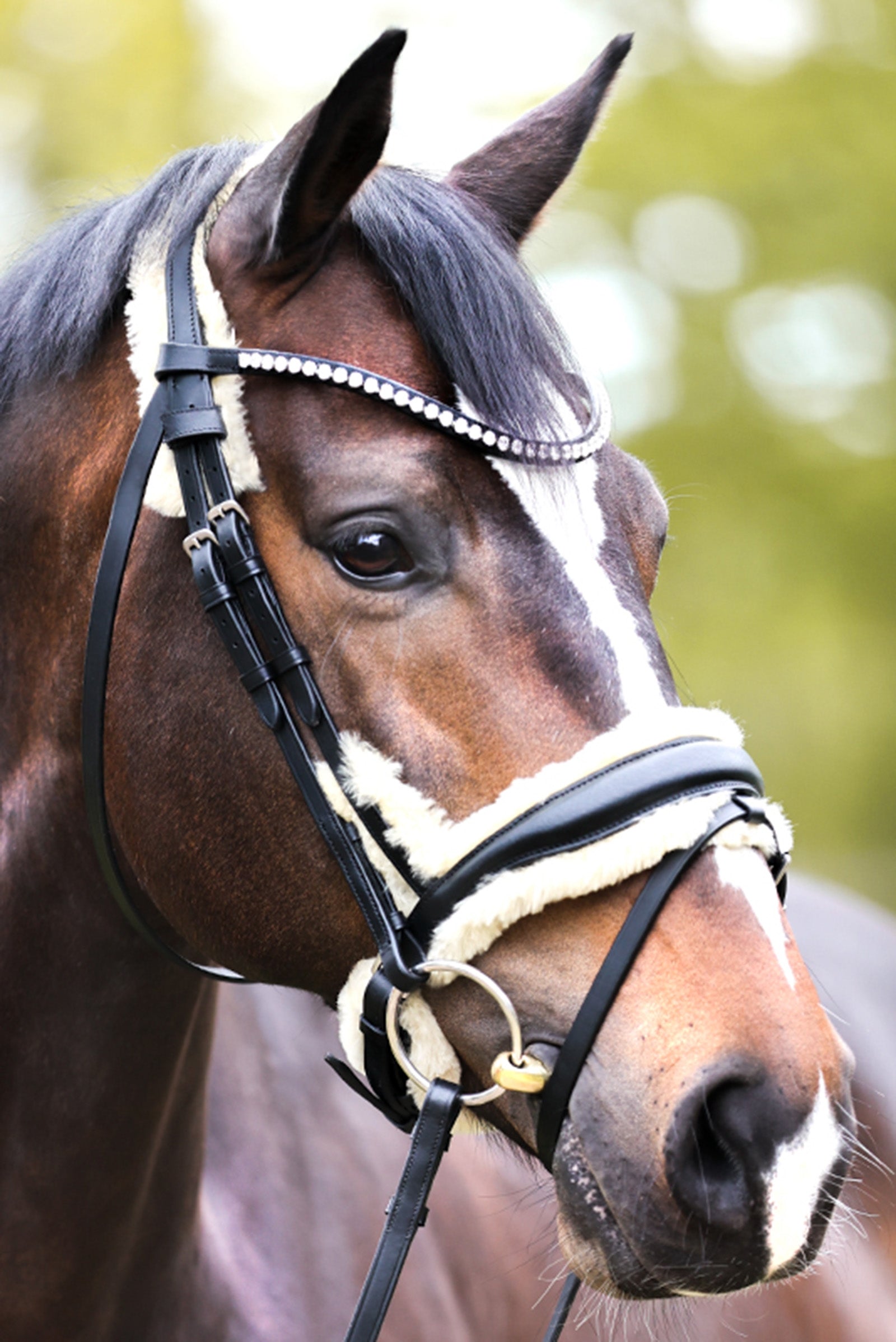 Kavalkade Joyce KavalSH4 Bridle Träns & Tyglar