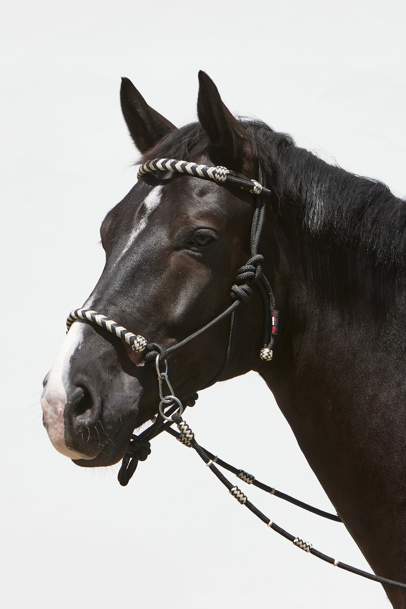Kieffer Enya Rope Halter Halters & Leads