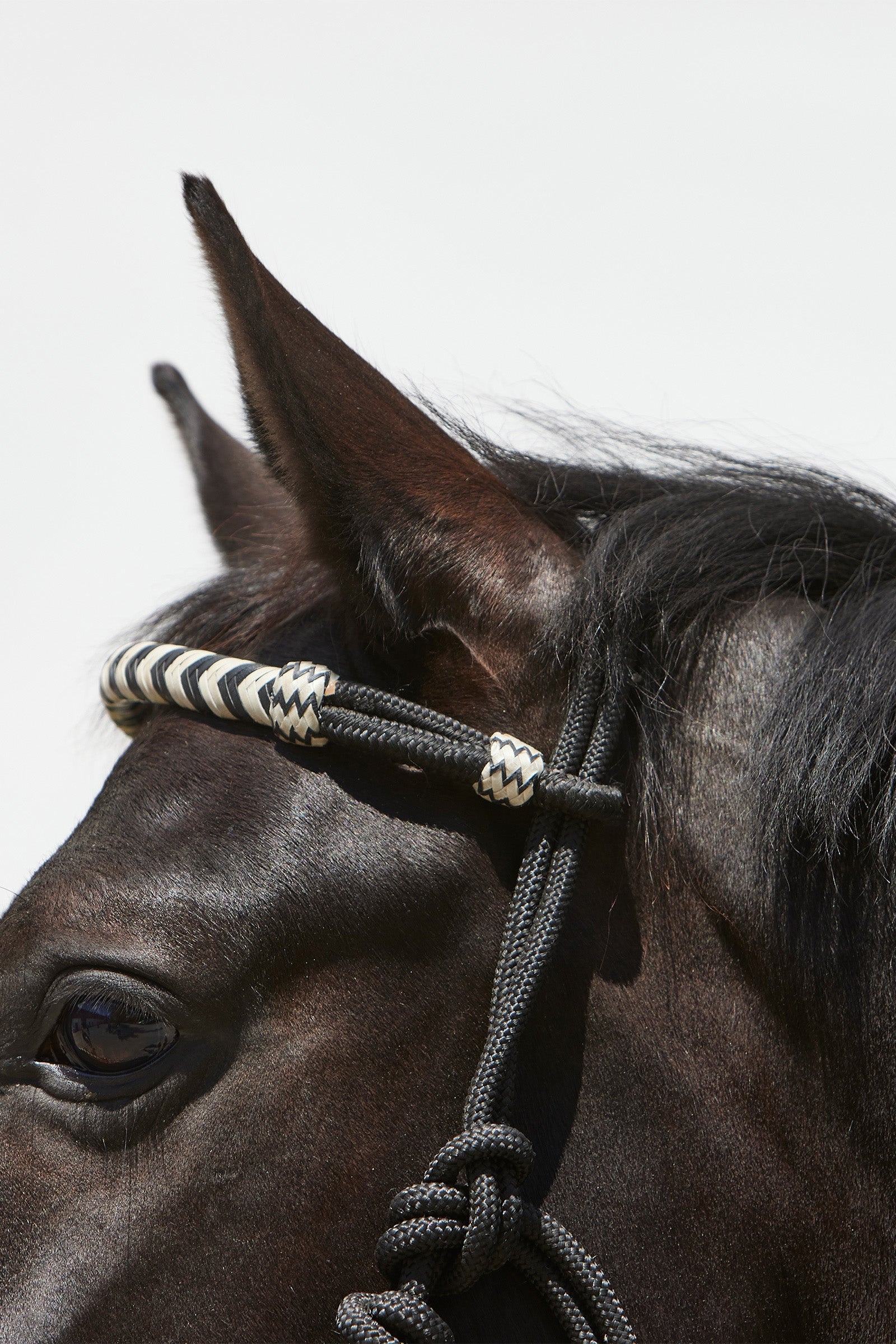 Kieffer Enya Rope Halter Halters & Leads