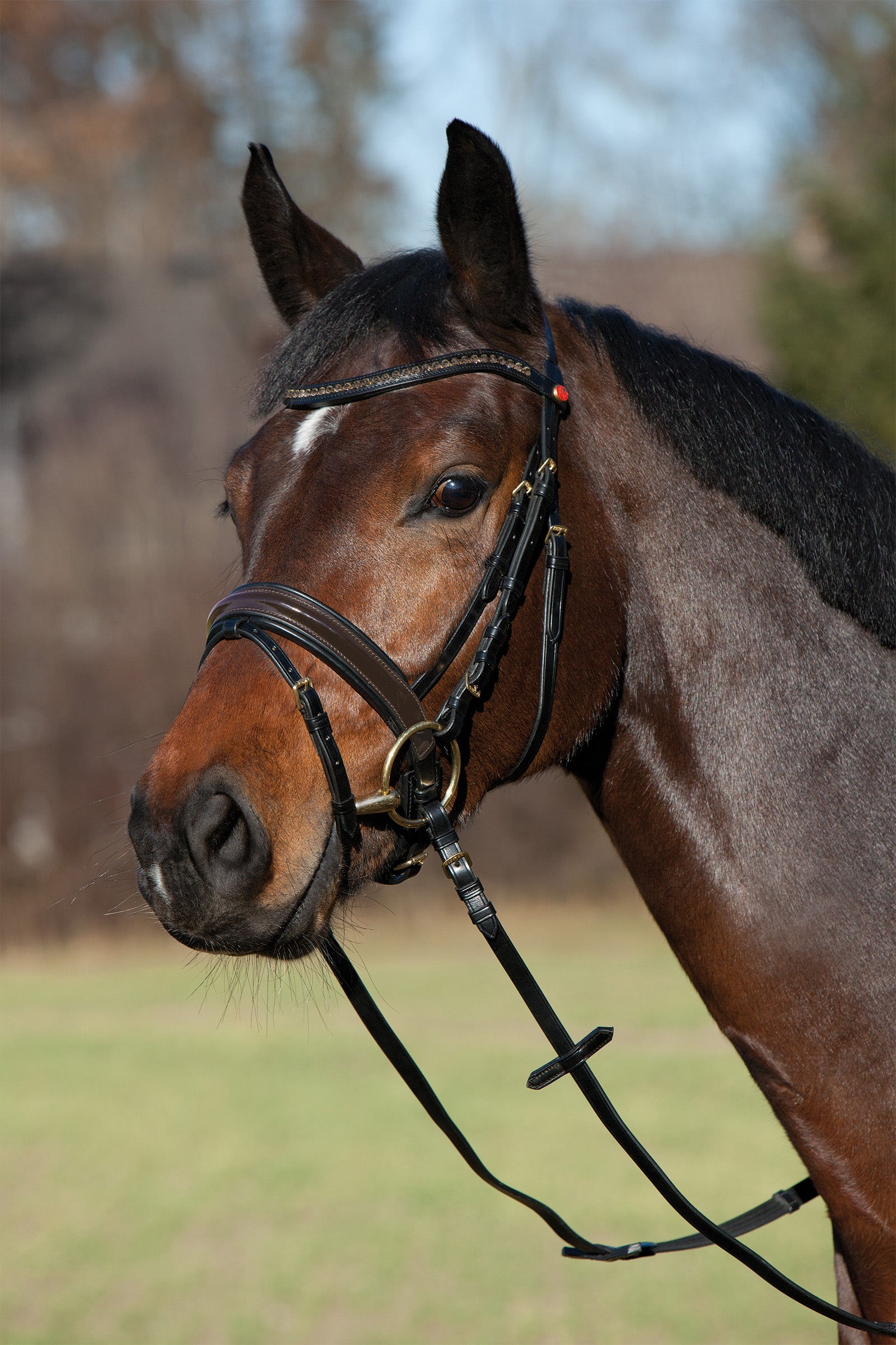 Kieffer Comfort Paris Bridle Träns & Tyglar