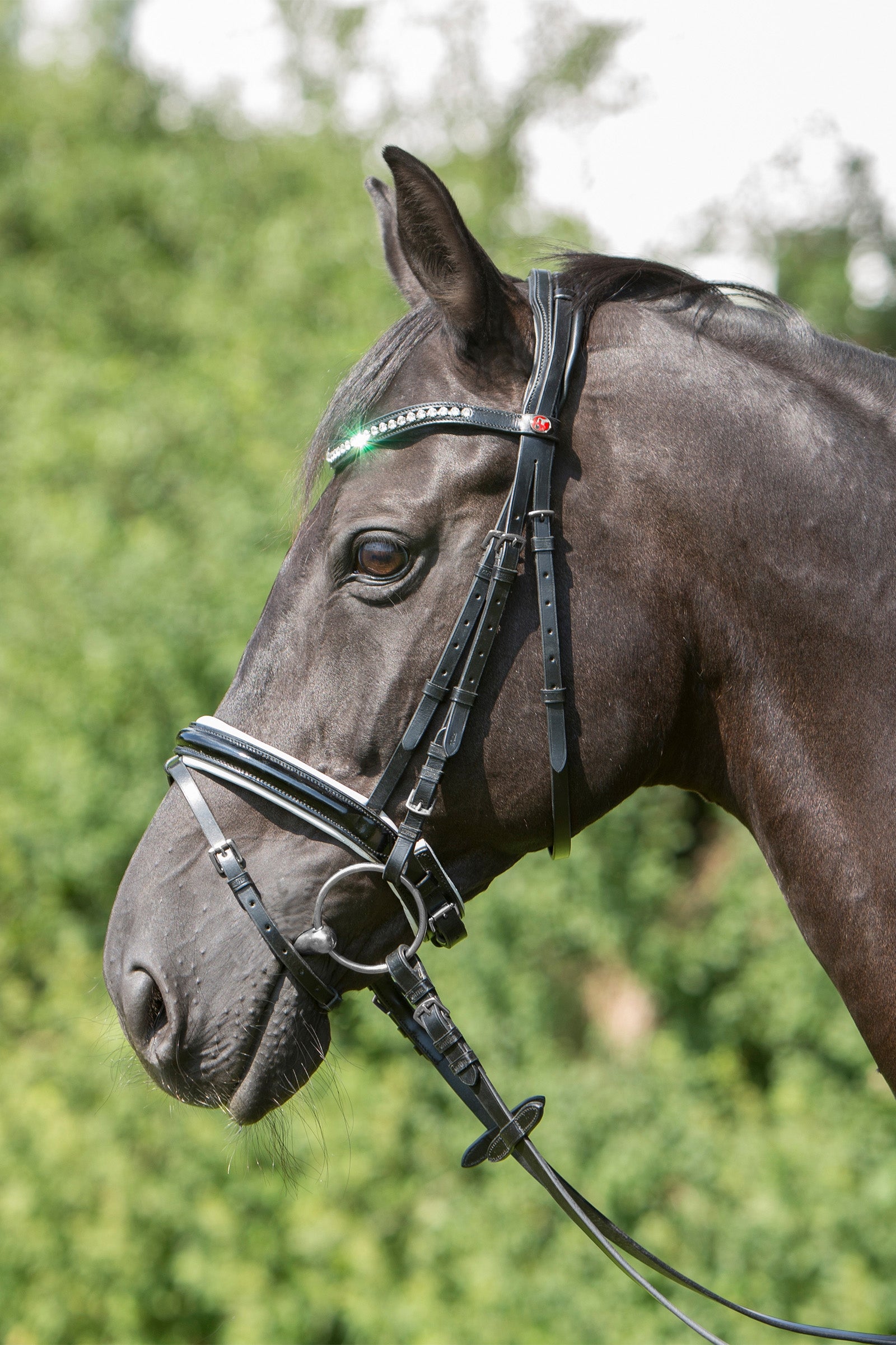 Kieffer Comfort Paris Bridle Träns & Tyglar