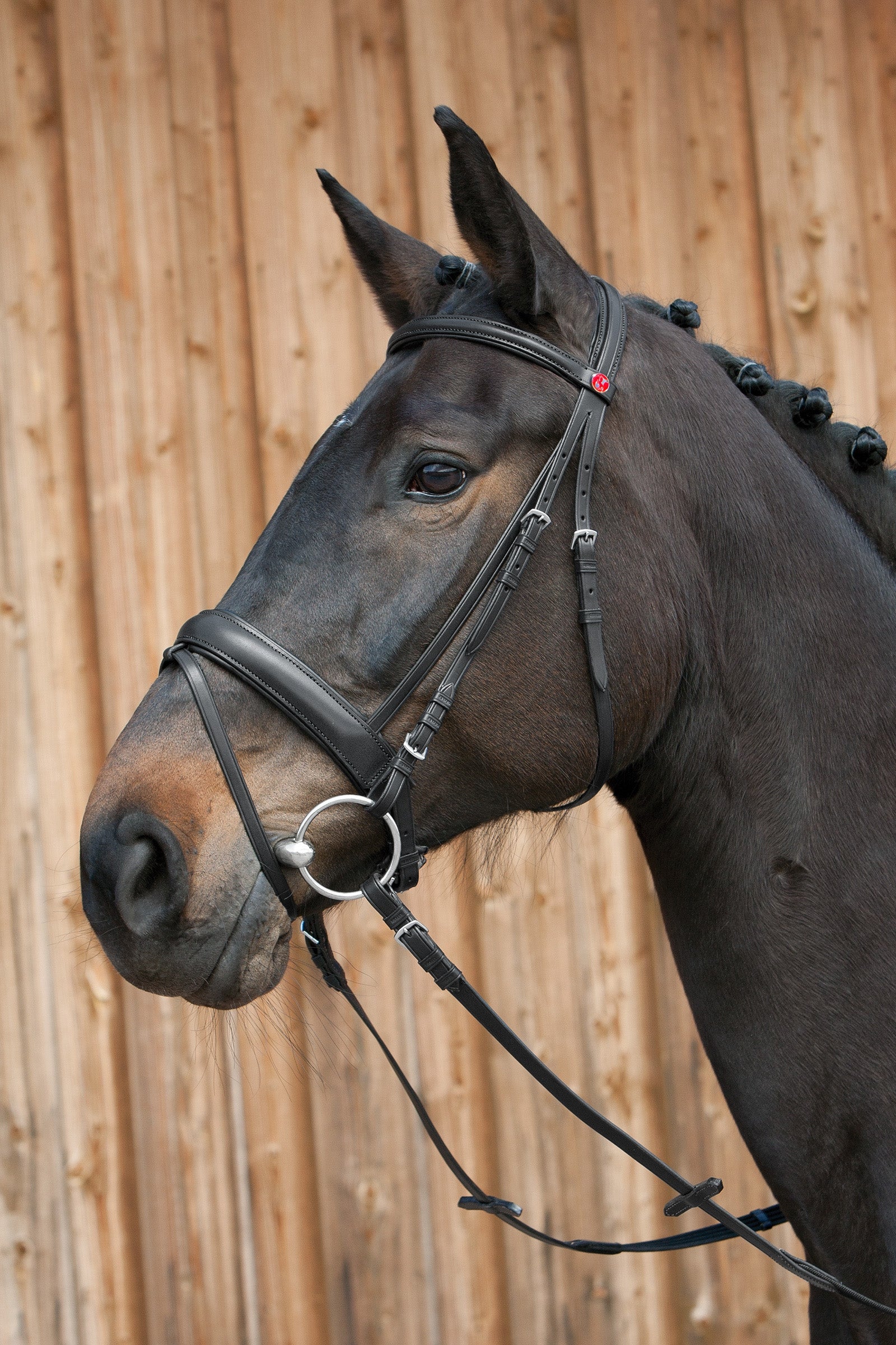 Kieffer Ergonomic Line III Bridle Träns & Tyglar