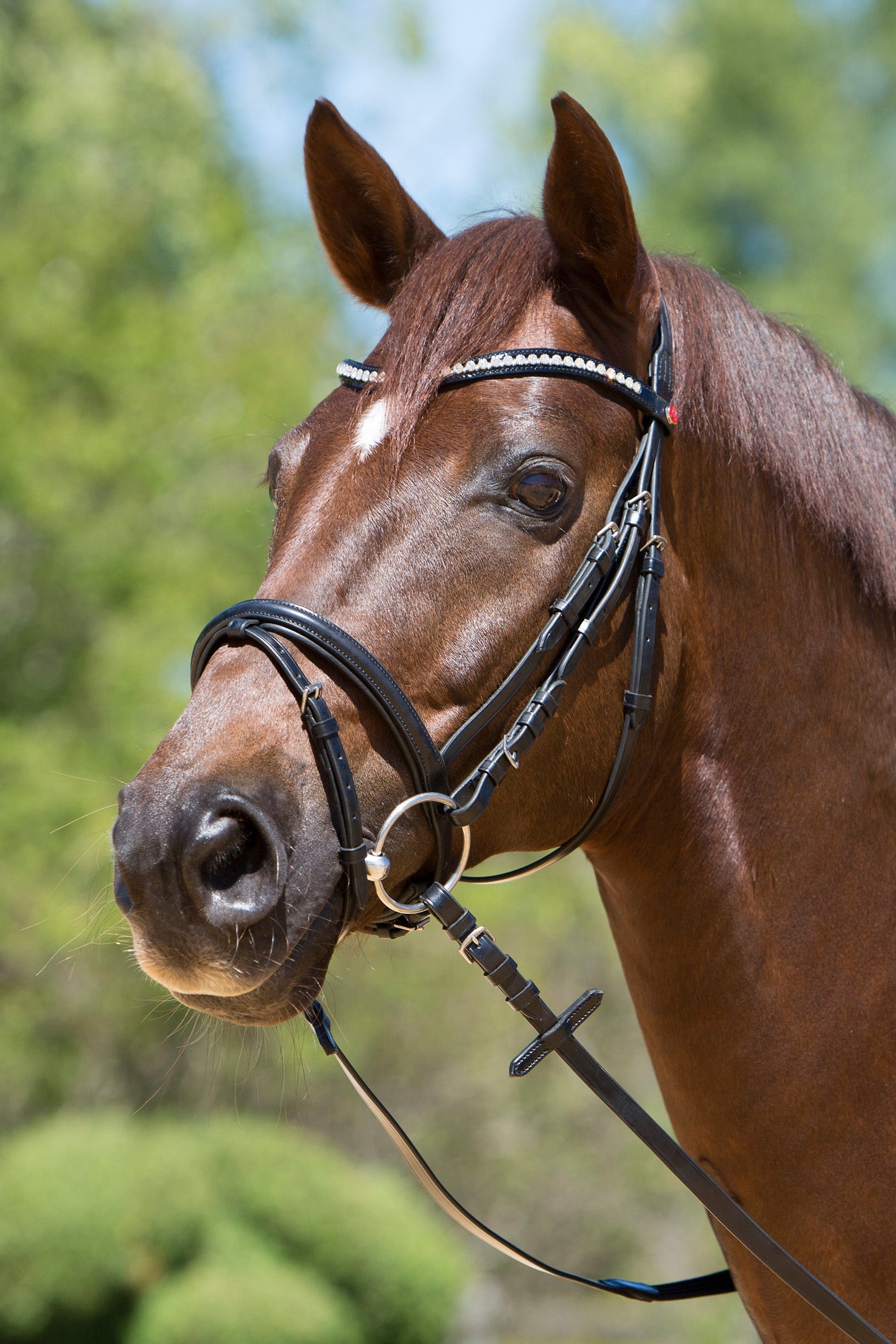 Kieffer Lea Bridle Träns & Tyglar