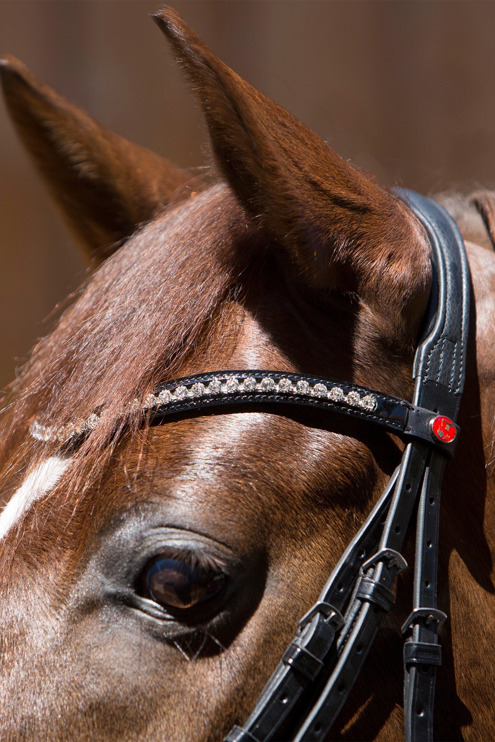 Kieffer Lea Bridle Bridles & Reins