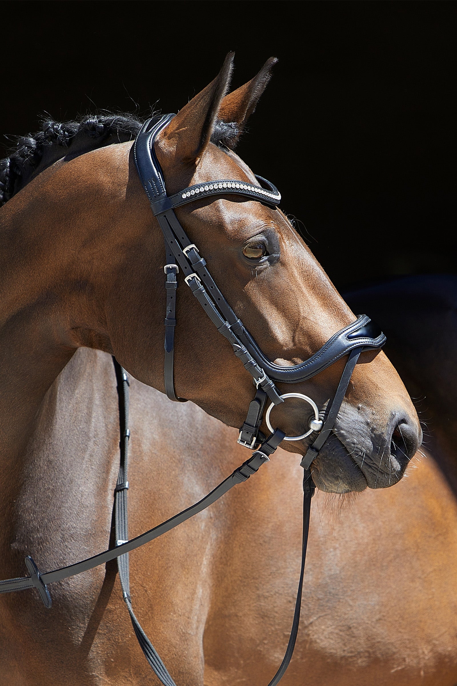 Kieffer Anouk Softtech Line Bridle Bridles & Reins