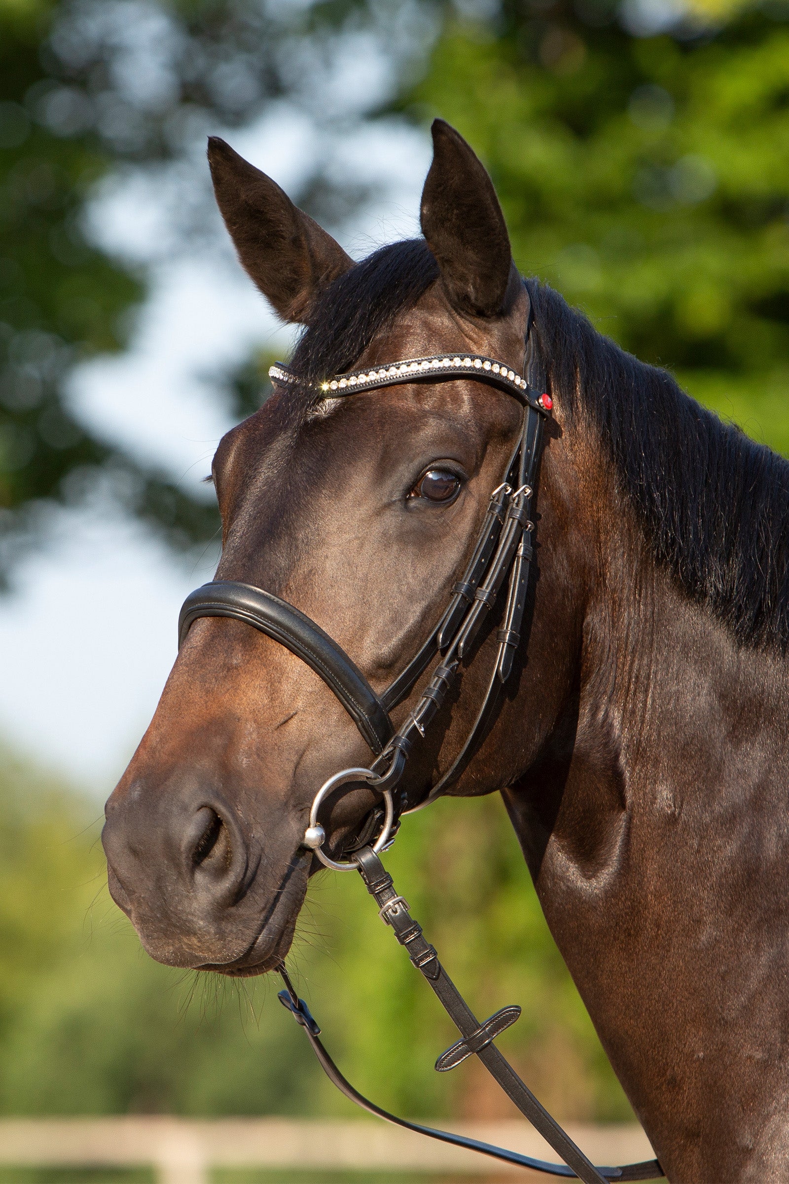 Kieffer Ultrasoft® Sue Bridle Bridles & Reins