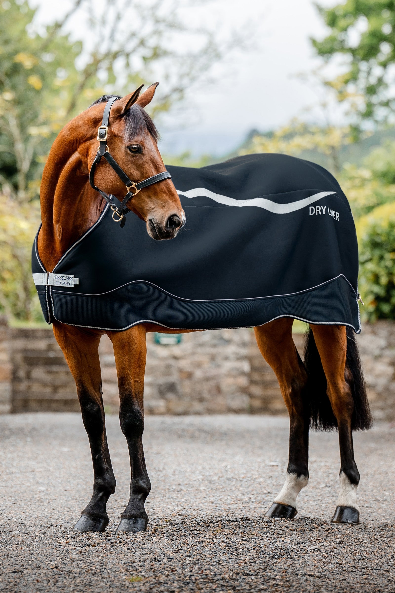 Horseware Dry Liner undertäcke med torkfunktion, 50 g Hästtäcken