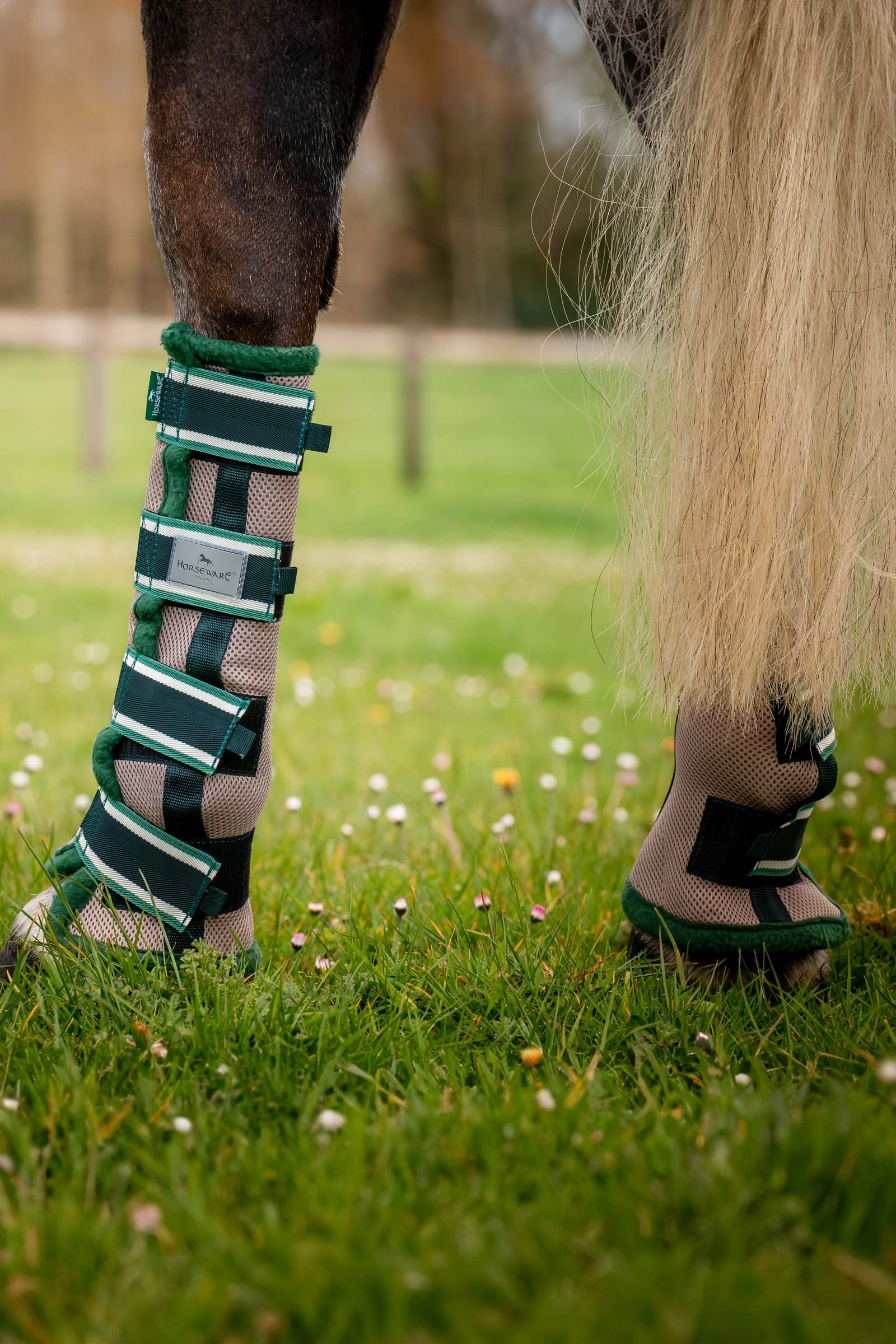 Horseware Fly Boots Leg Protection & Hoof Protection for Horses