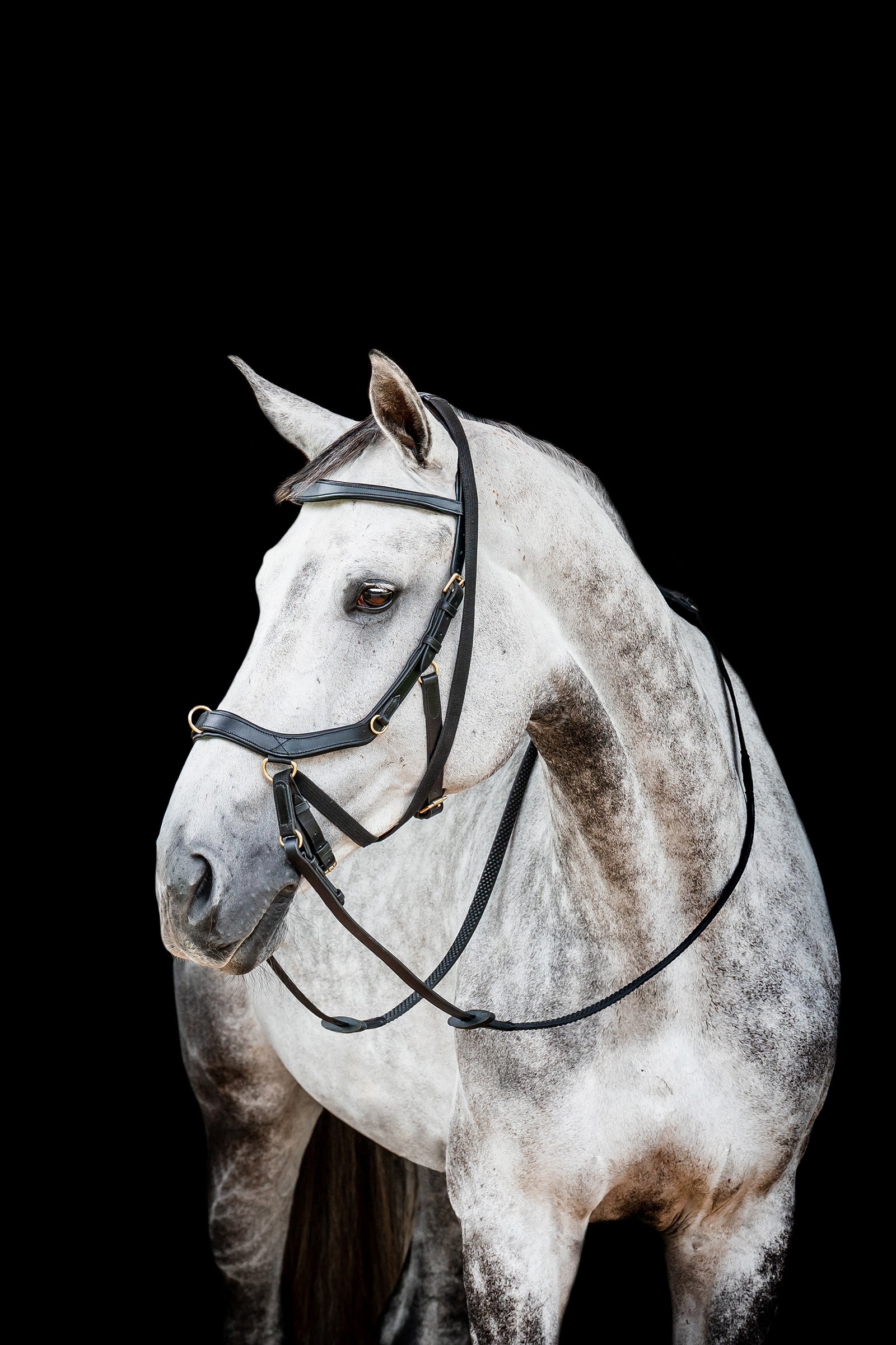 Horseware Micklem 2 Multi Träns Träns & Tyglar