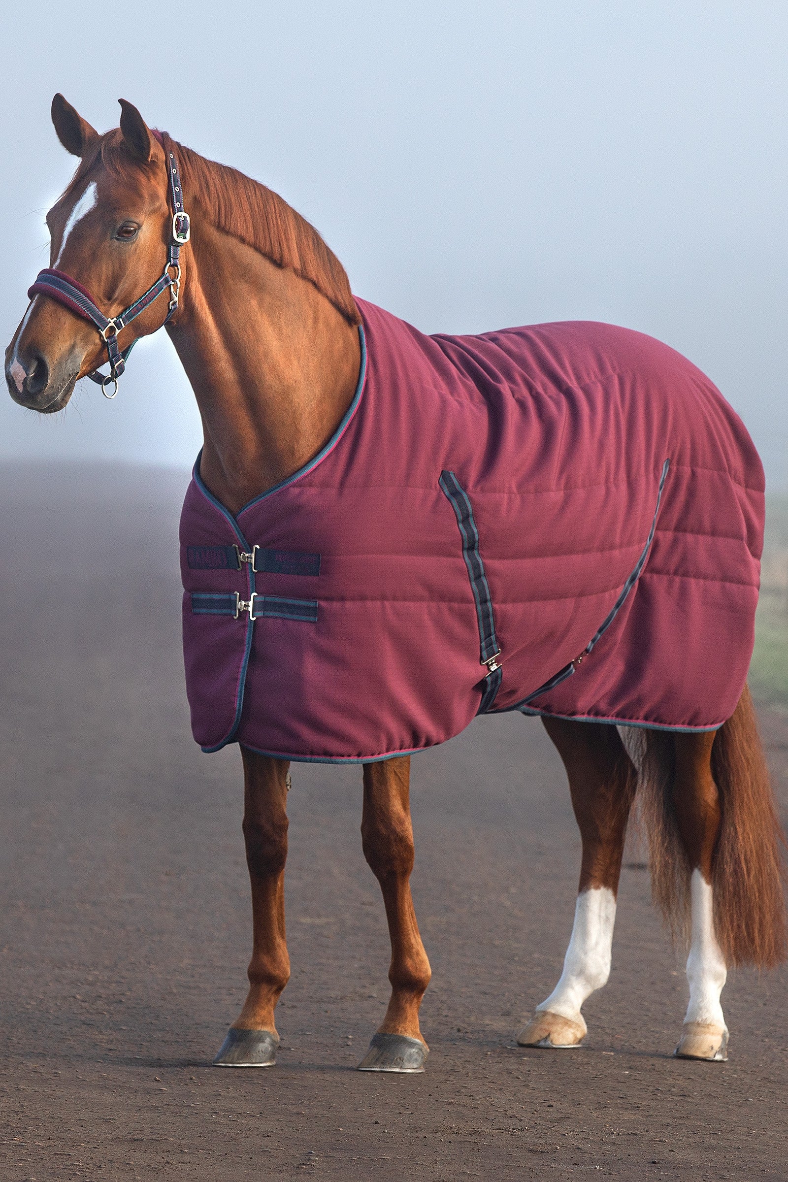 Horseware Rambo Coperta da scuderia con fodera goffrata, 100 gr Hästtäcken