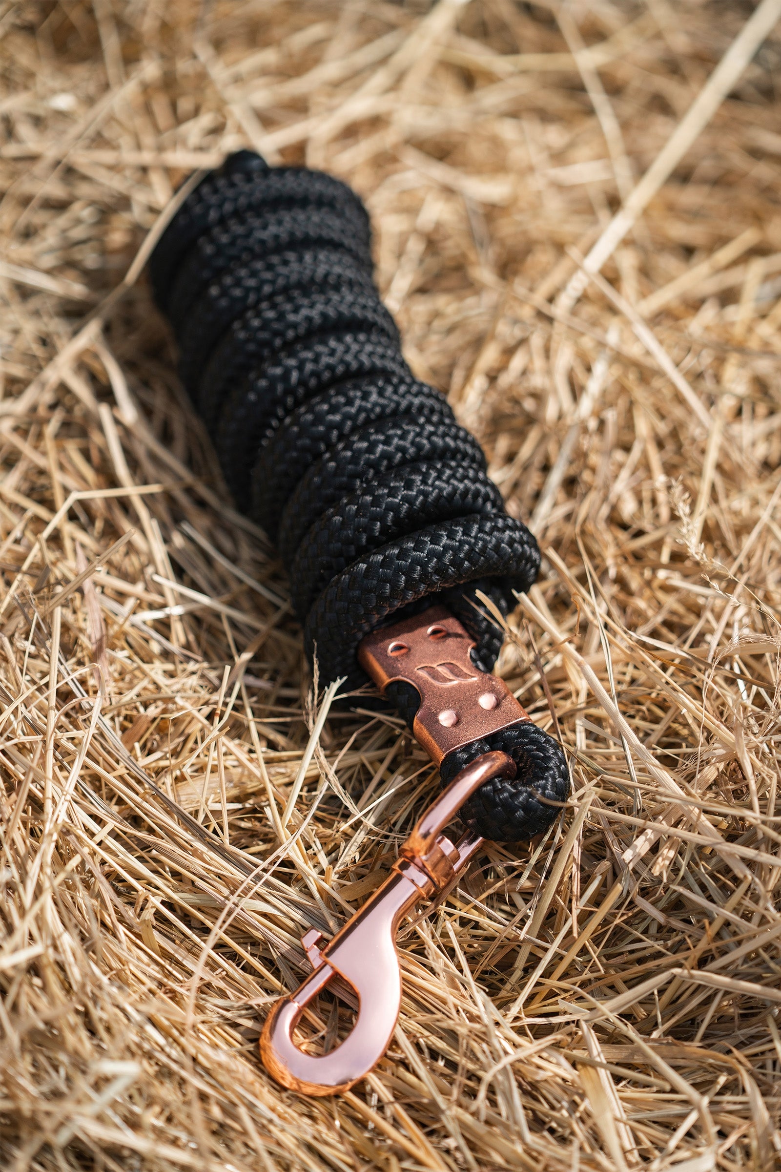 Back on Track Ace Grimskaft Grimma & grimskaft