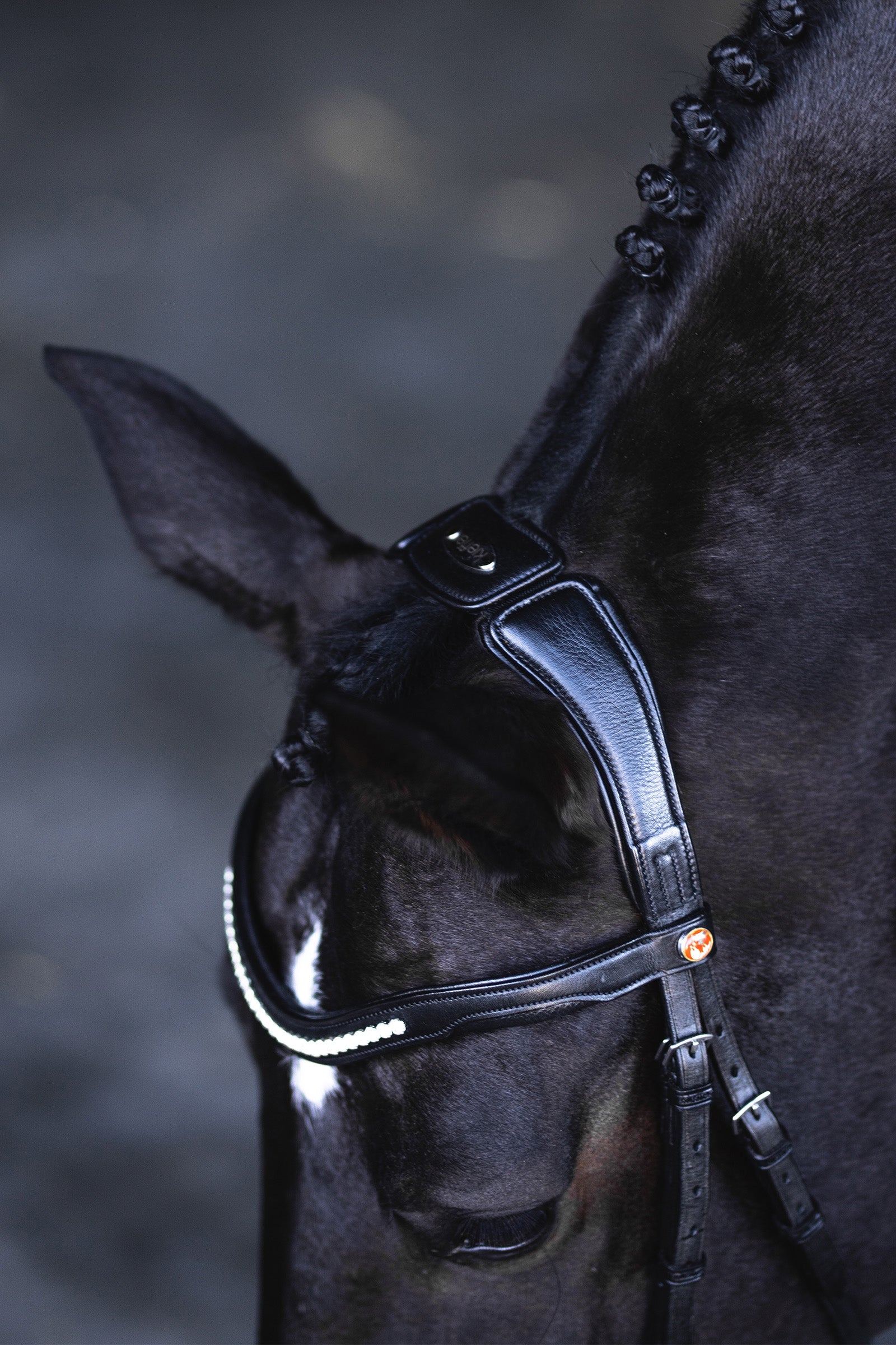 Kieffer Snaffle Bridle Ultrasoft® Luna Bridles & Reins