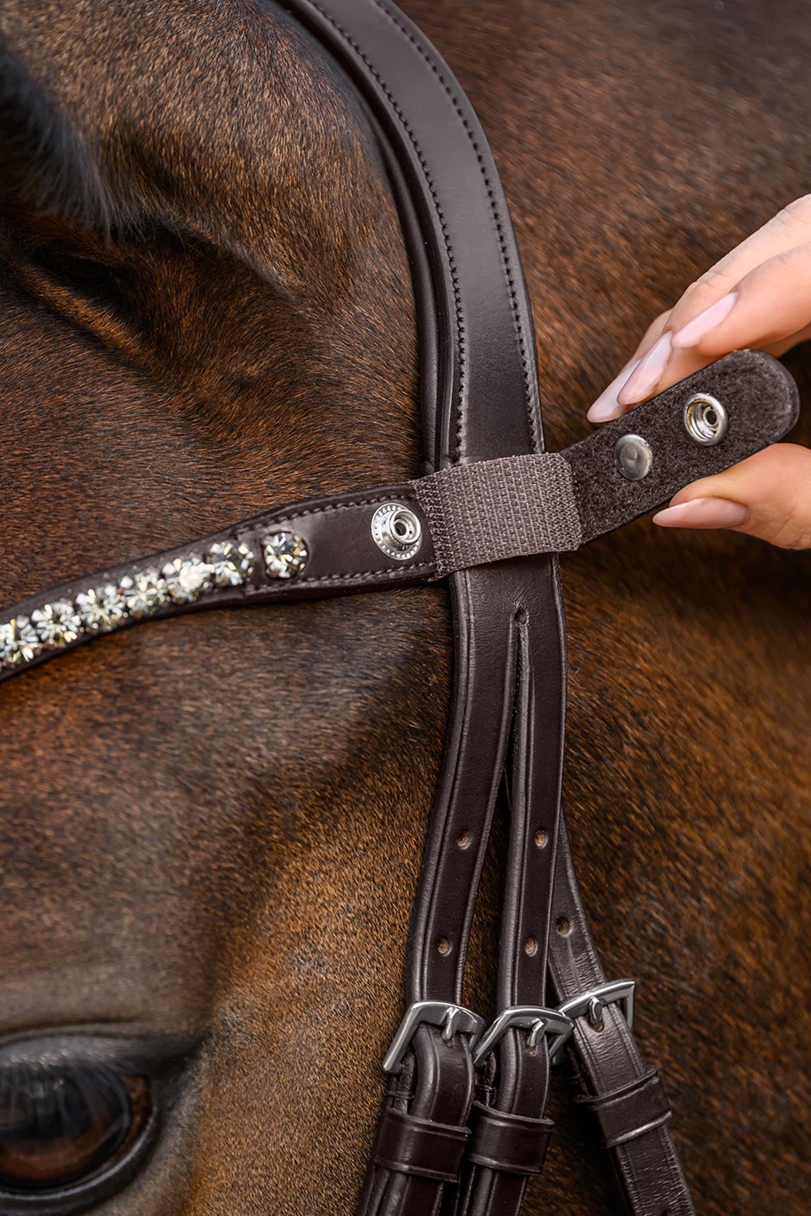 Waldhausen X-Line Shine Browband Bridles & Reins