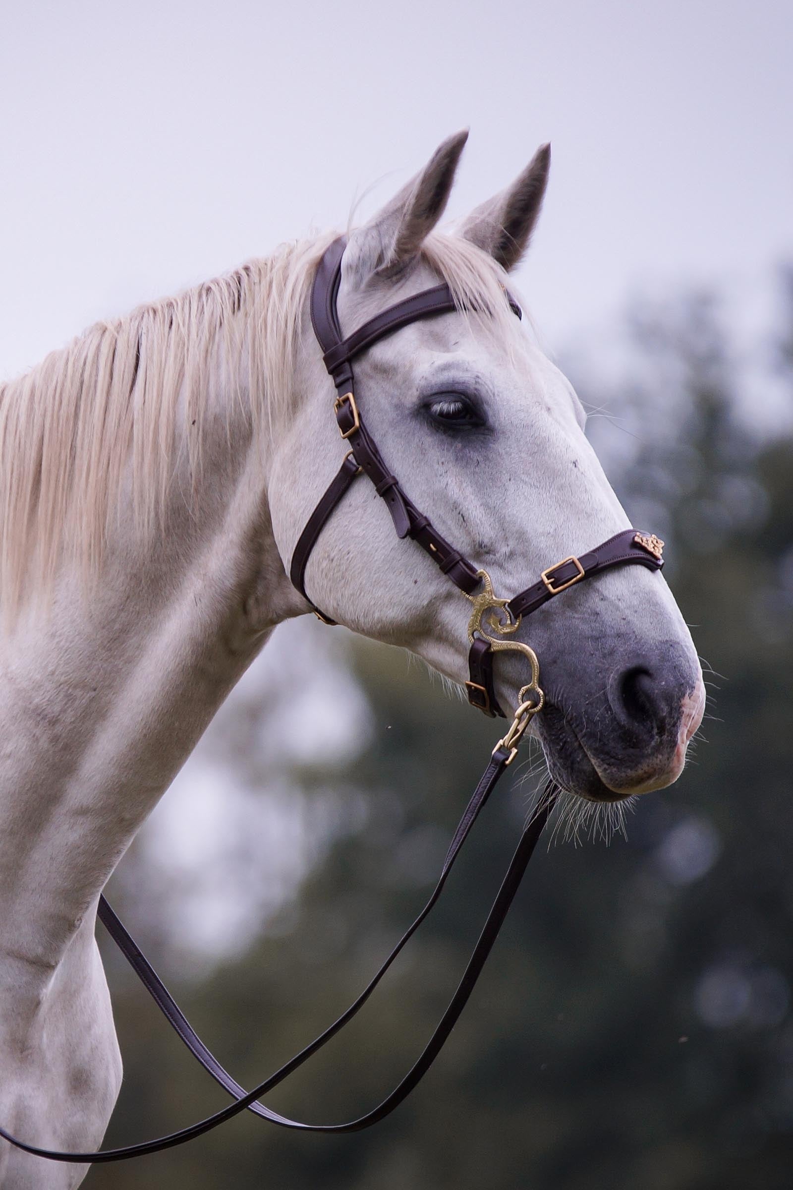 F.R.A. Freedom Riding Articles Imperial Hackamore Bridle With Reins (System 2) Bridles & Reins