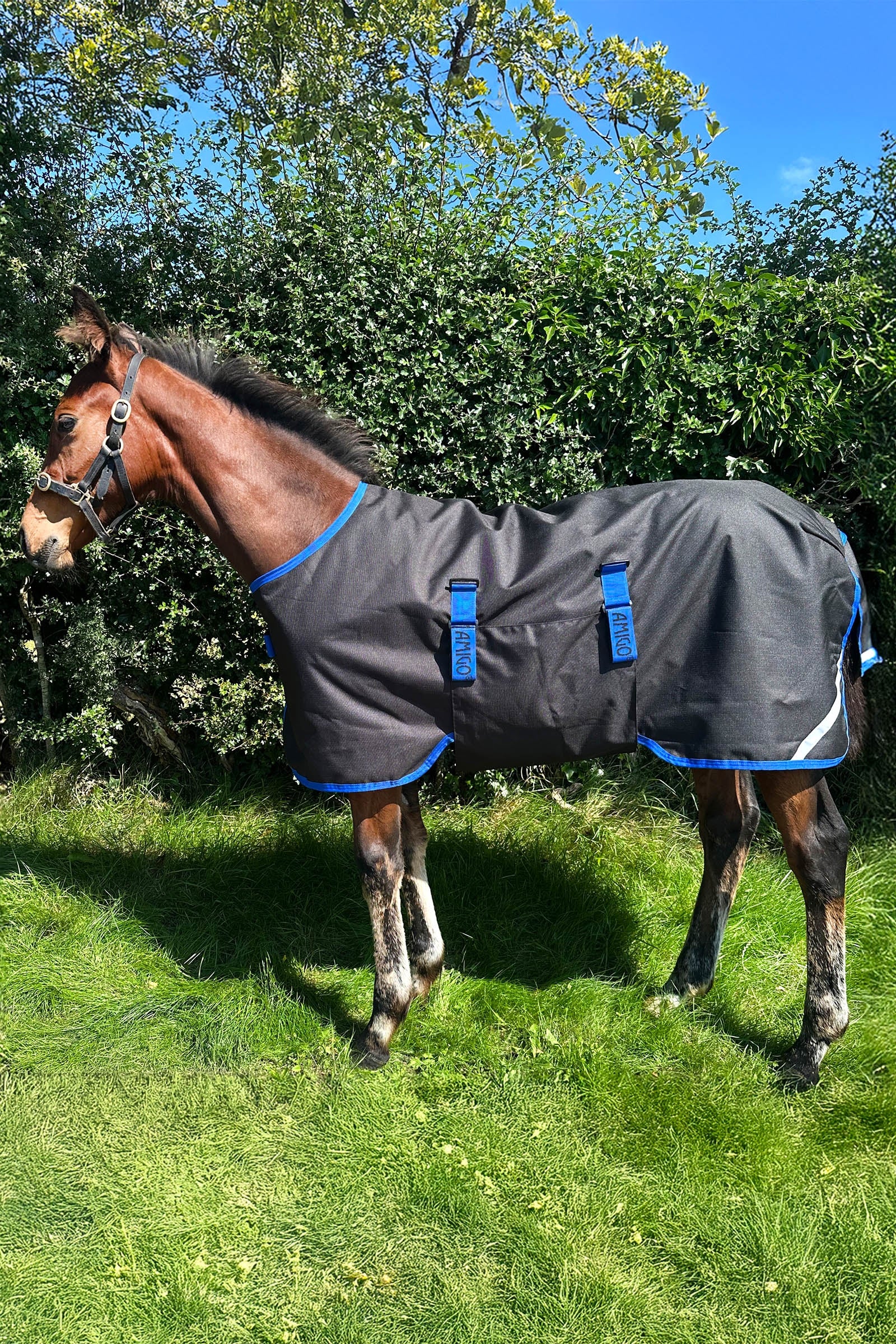 Horseware Amigo Ripstop 900D utetäcke för föl 50g Hästtäcken