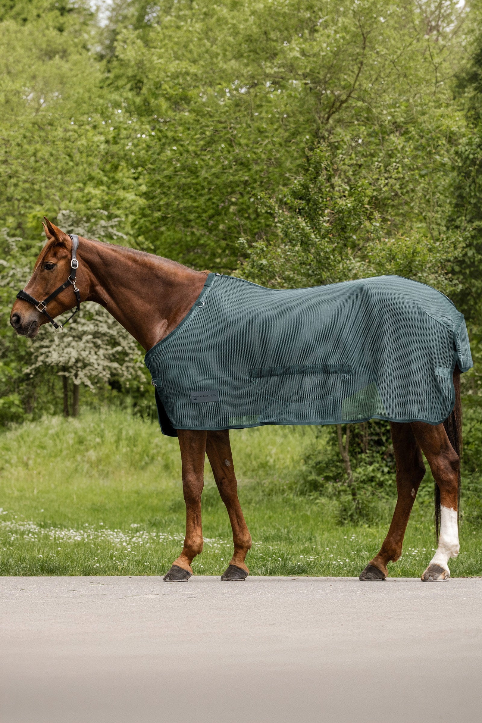 Waldhausen Comfort Fly Rug With Belly Flap Horse Rugs