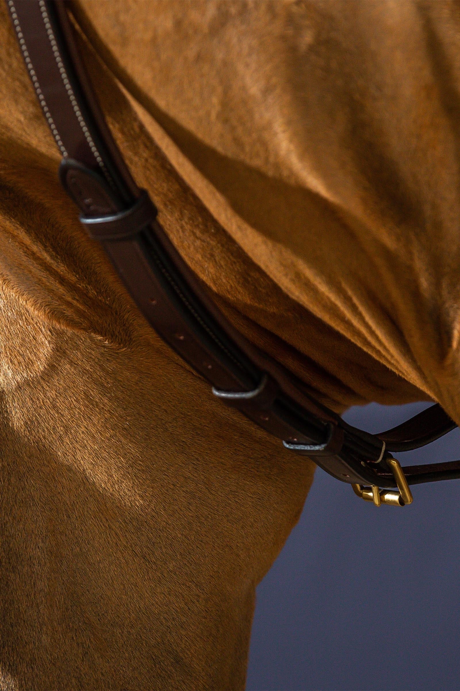 Dy'on D Collection Yoke Bridles & Reins