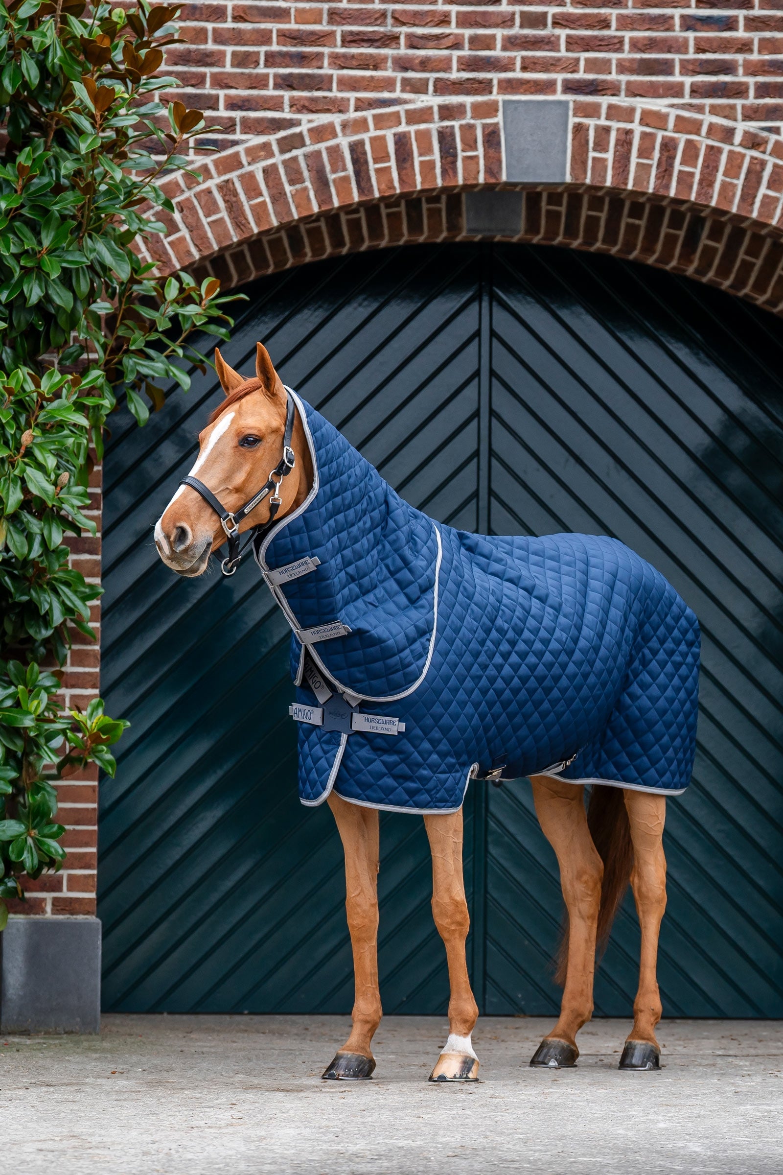 Horseware Amigo kviltat stalltäcke Plus, 200 g Hästtäcken