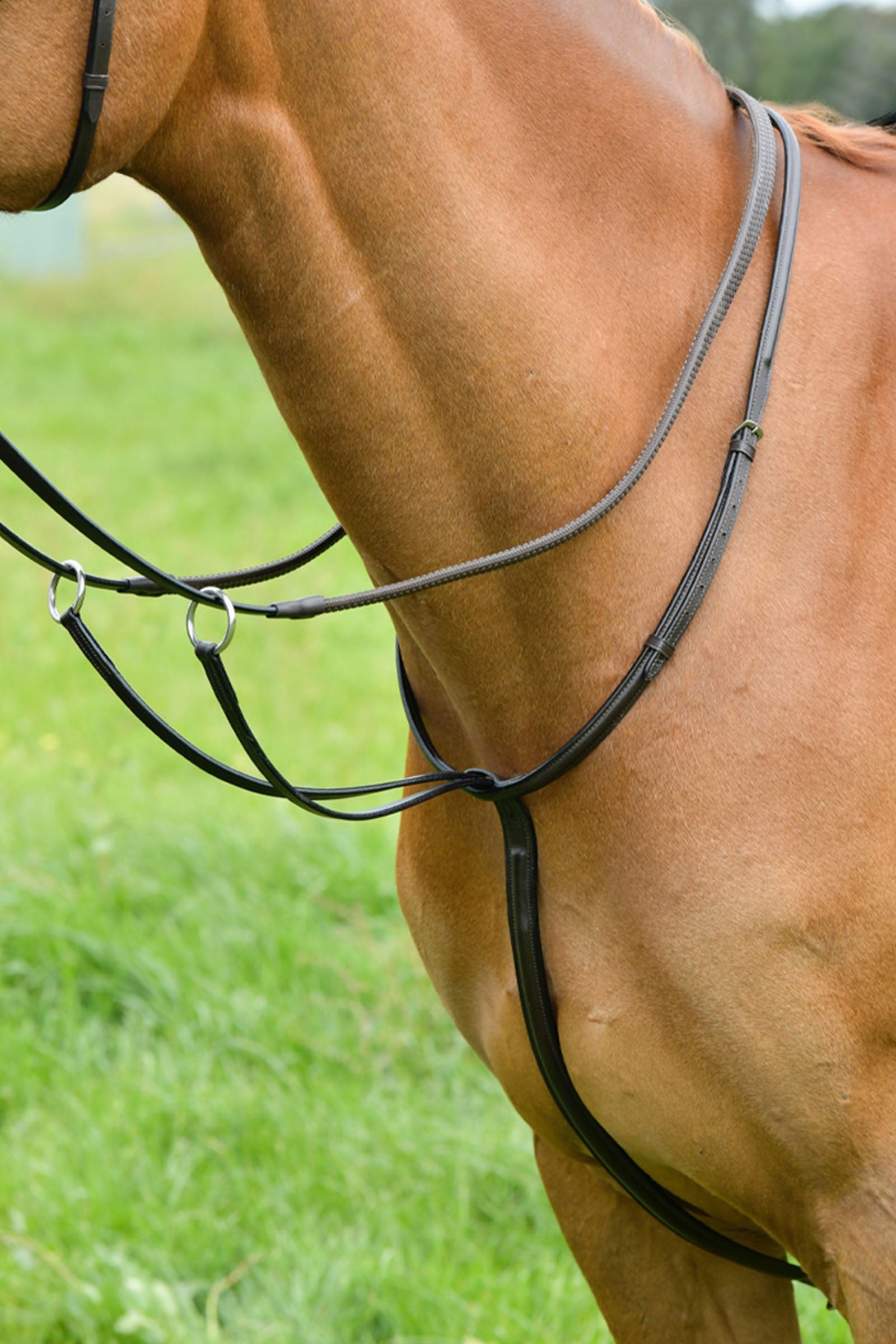 Kincade klassisk löpmartingal med upphöjd söm Träns & Tyglar