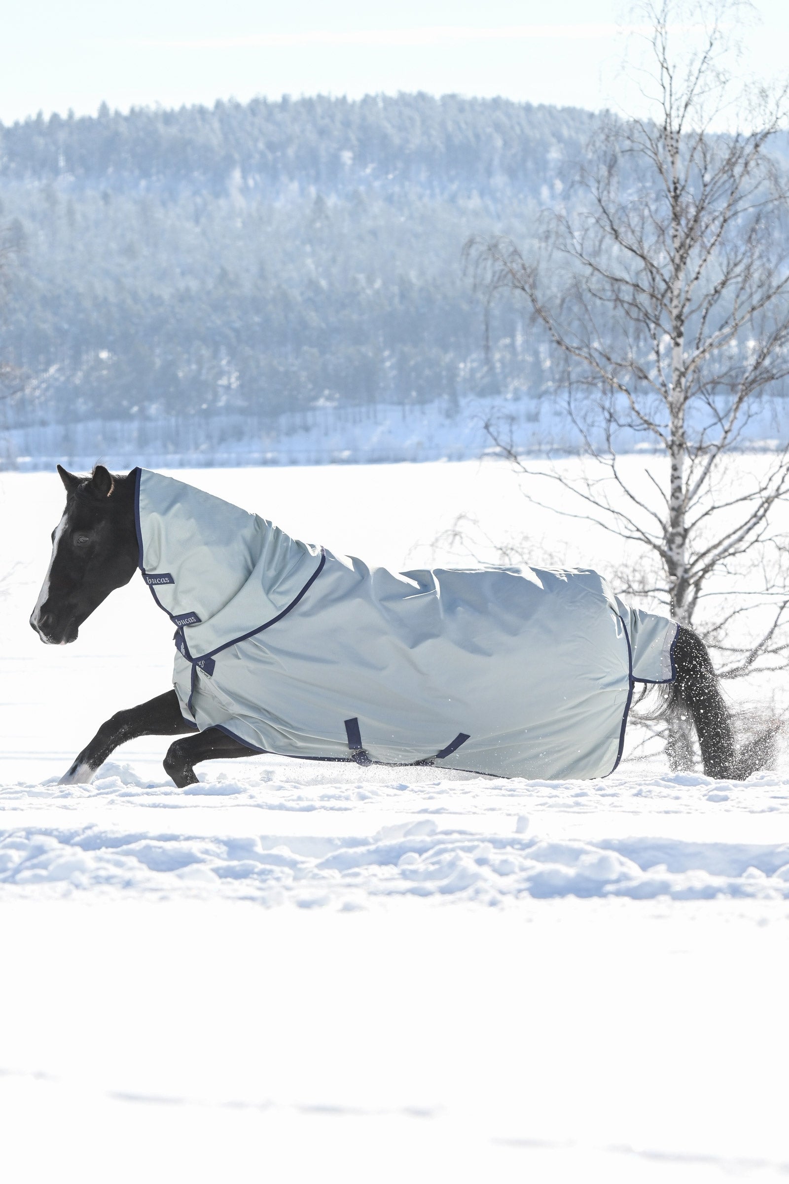Bucas Power Extra Turnout Rug With Cooling Function, 300g Horse Rugs