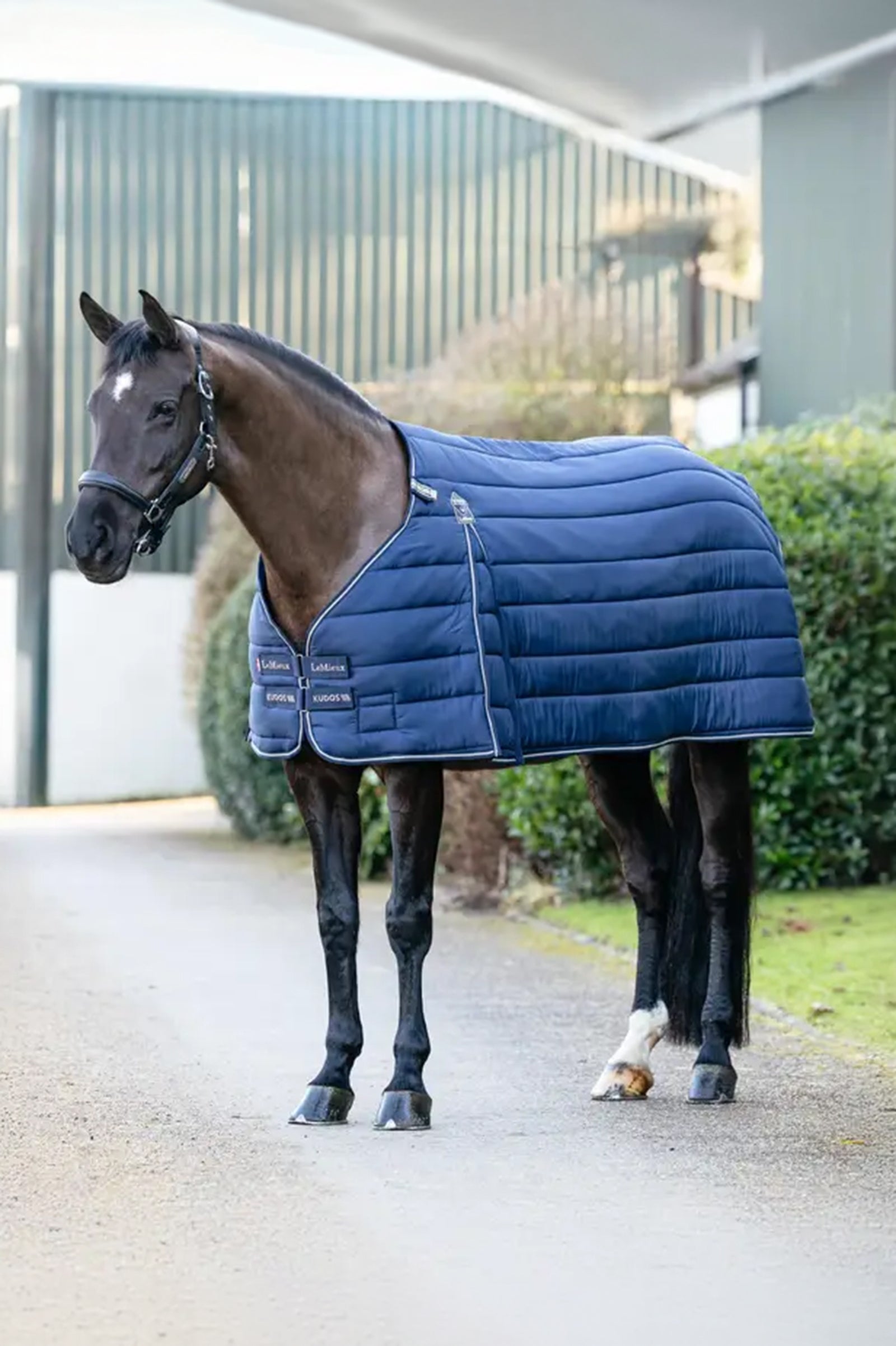 LeMieux Kudos Rug Liner, 350 g Horse Rugs