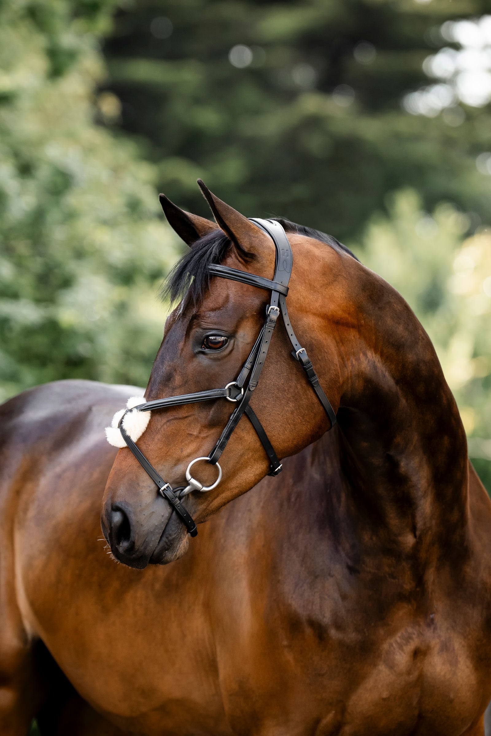Horseware träns med åttanosgrimma Träns & Tyglar