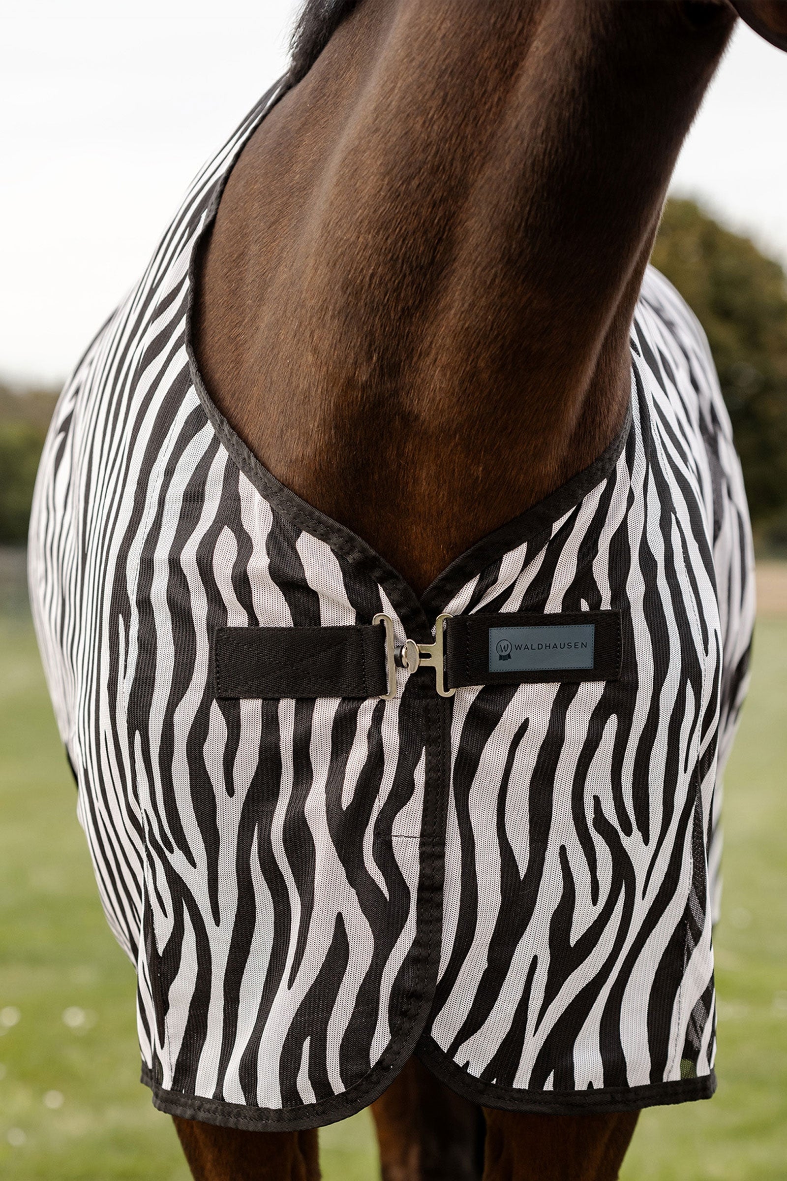 Waldhausen Zebra Fly Rug With Cross Surcingles Horse Rugs