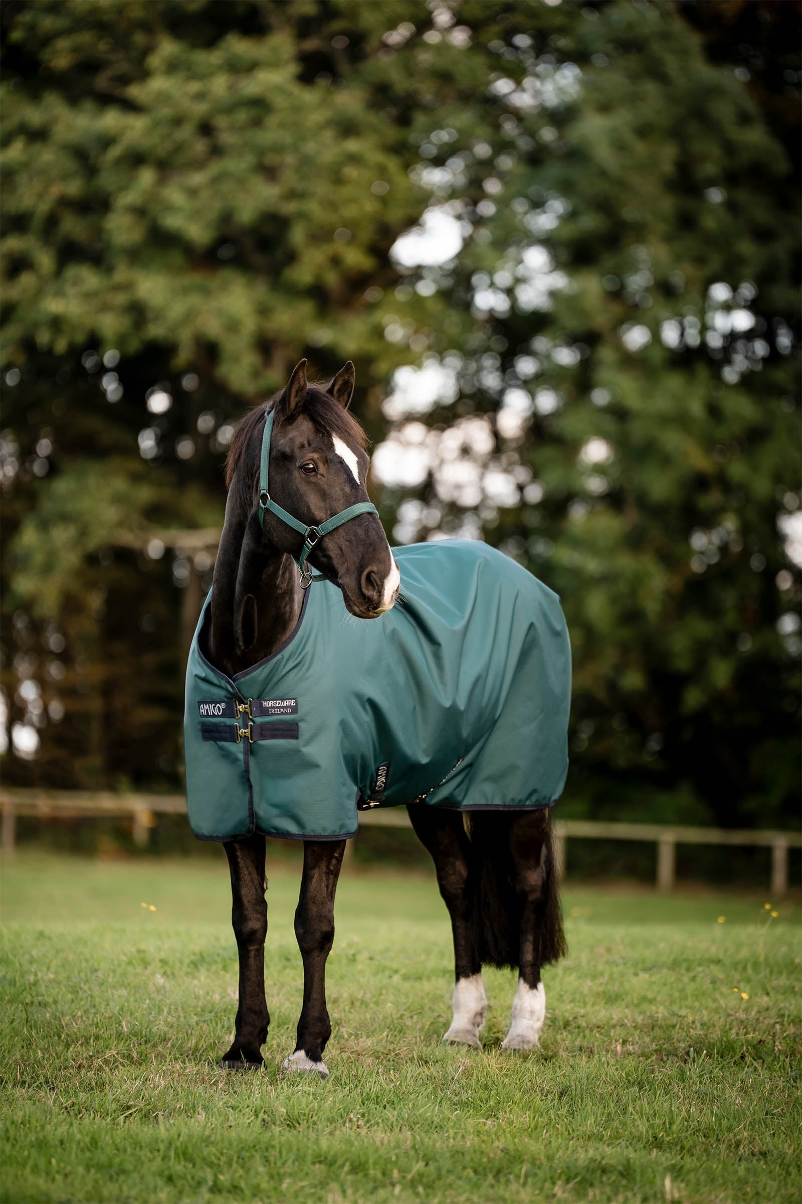 Horseware Amigo 900D Ripstop utetäcke, 100 g Hästtäcken