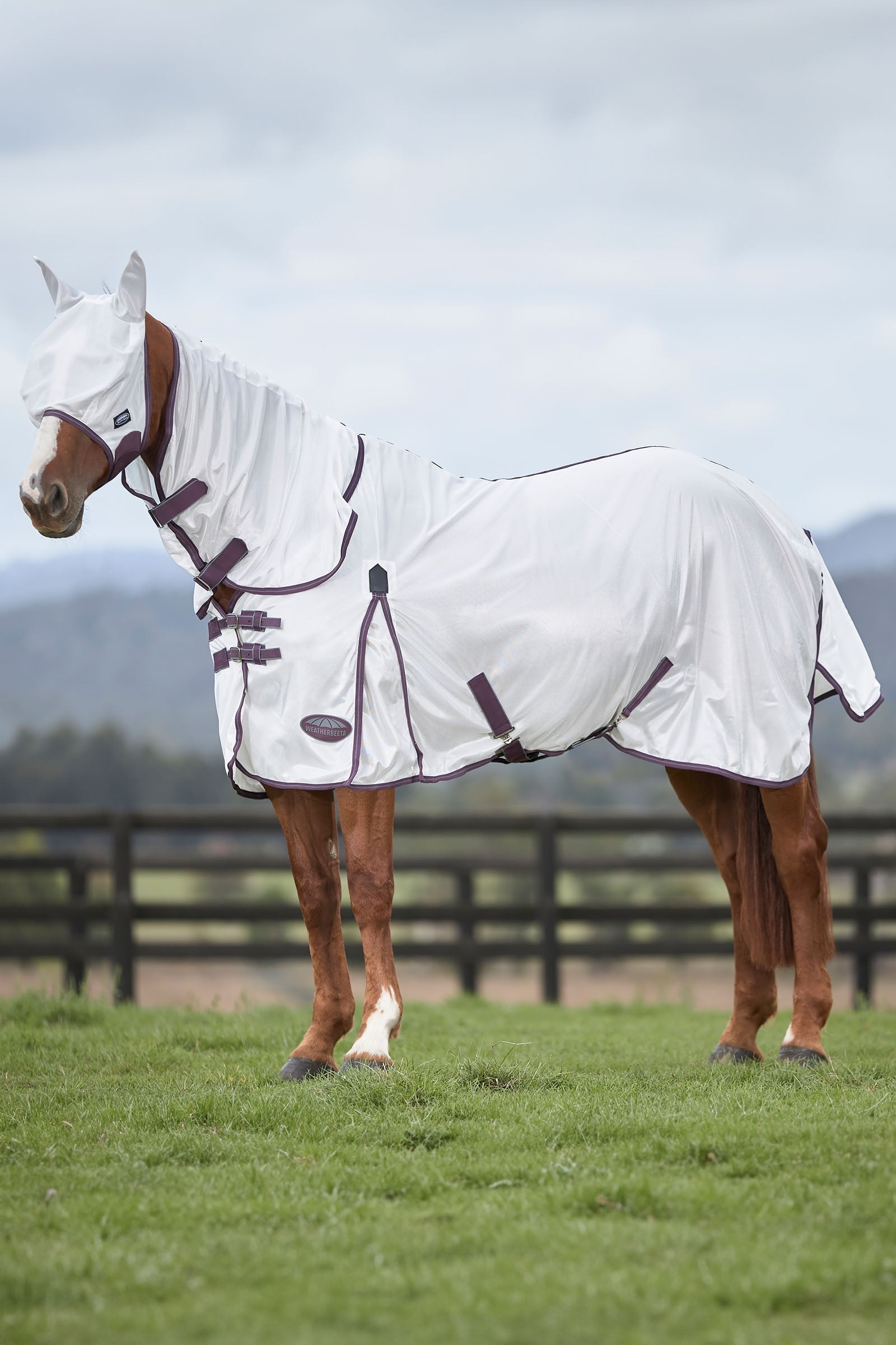 Weatherbeeta Comfitec Essential Mesh Mask Antifly Protection for Horses