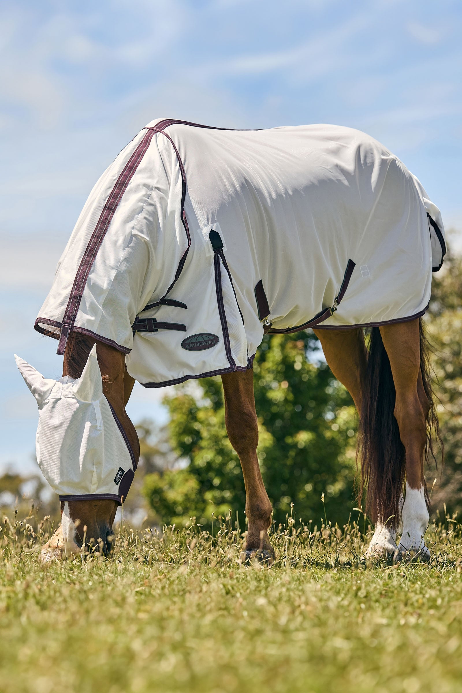 Weatherbeeta Comfitec Essential Mesh Mask Antifly Protection for Horses