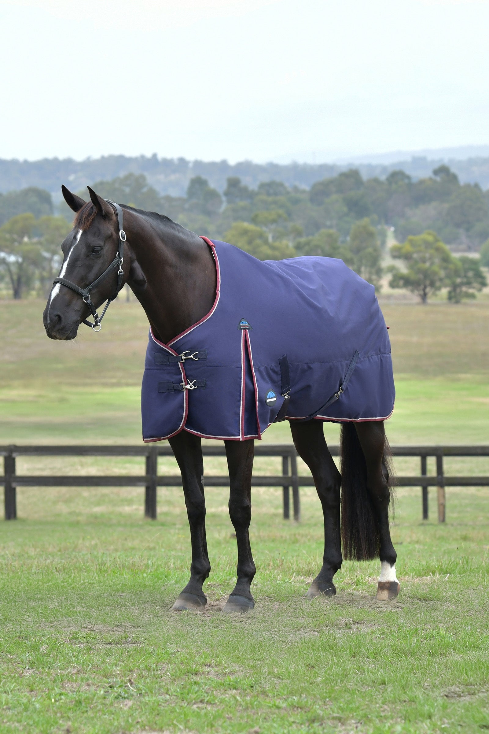 Weatherbeeta ComFiTec Essential Turnout Standard Neck 0G Hästtäcken