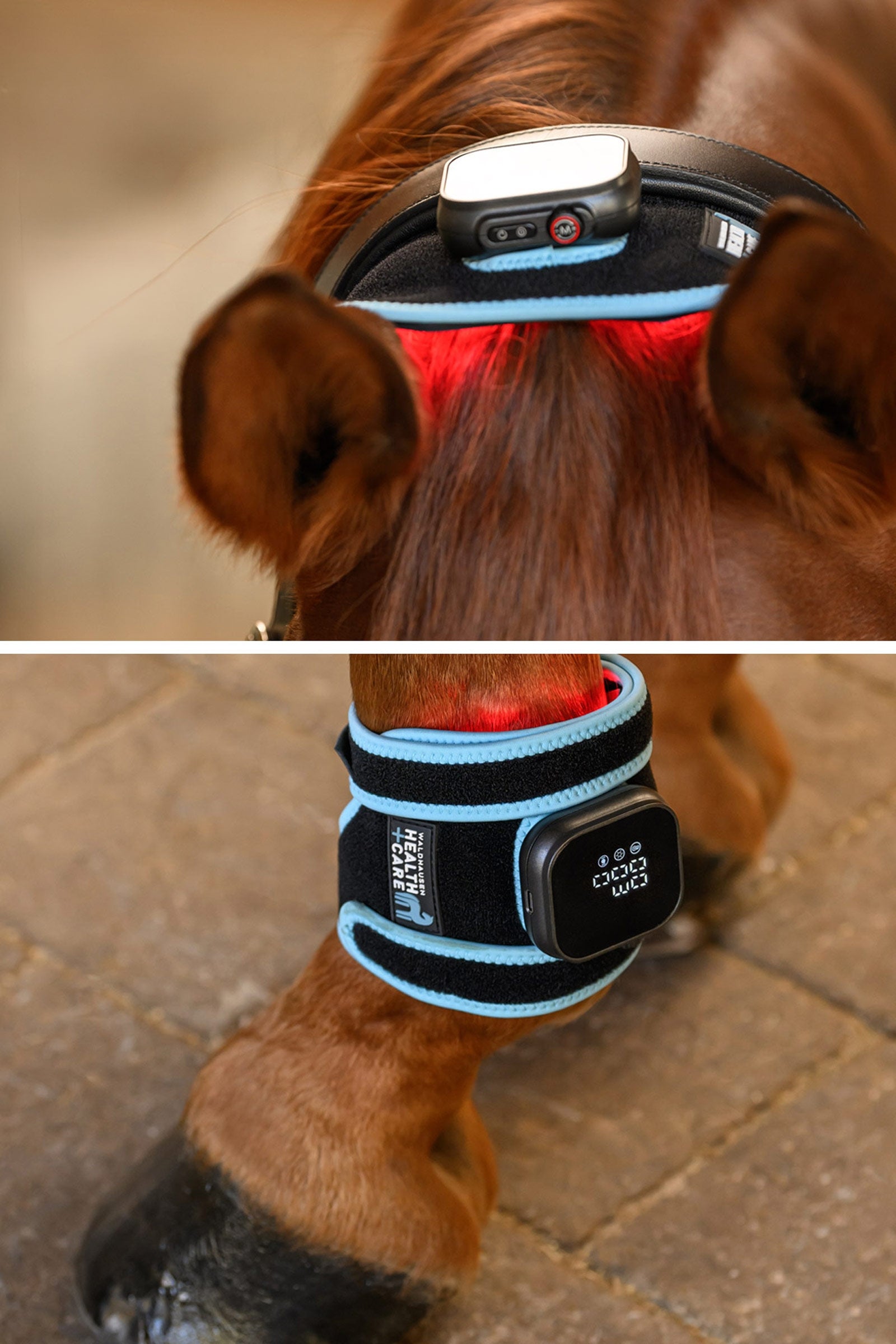 Waldhausen Health + Care infraröd FlexPad Leg Protection & Hoof Protection for Horses