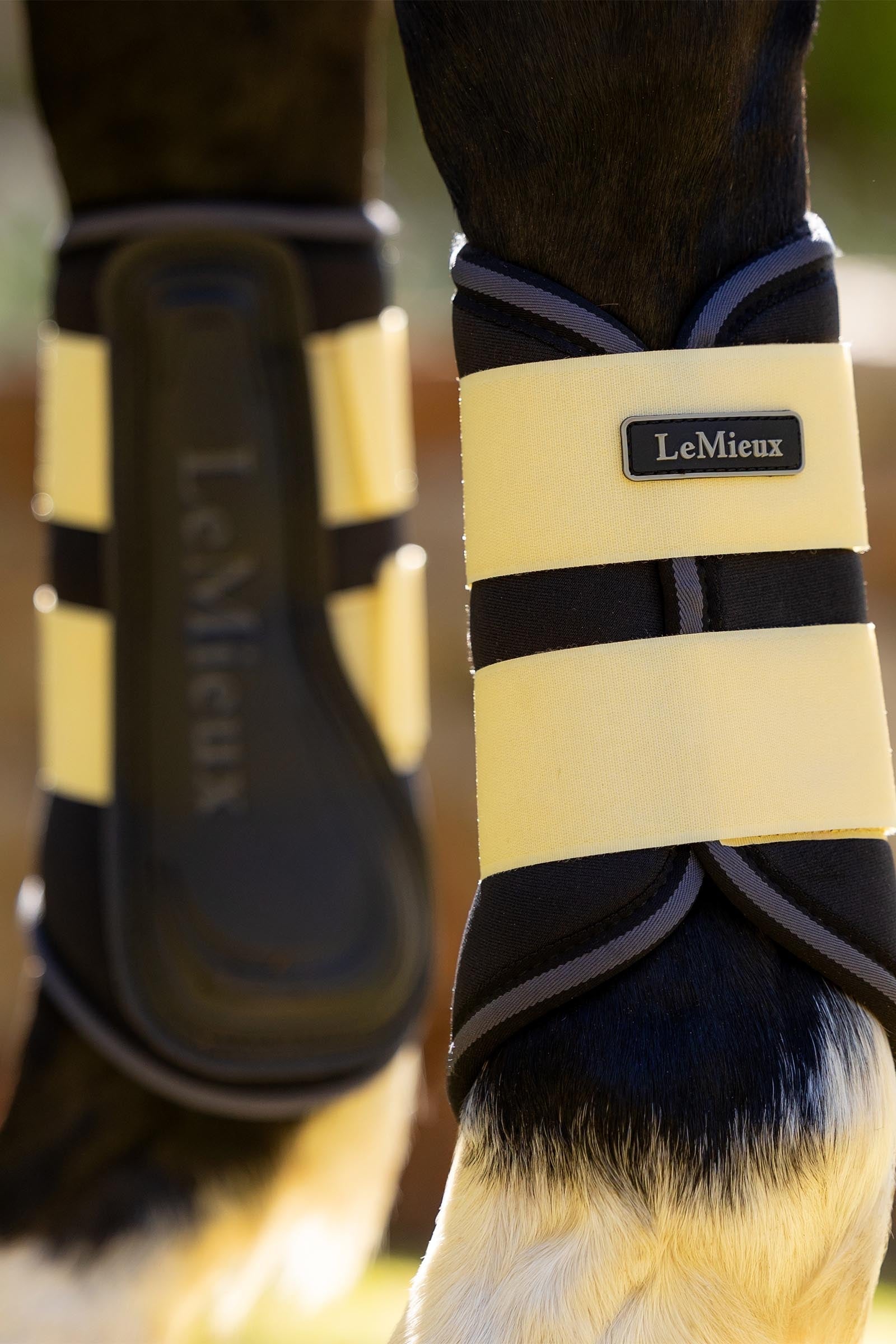 LeMieux Grafter Boots Leg Protection & Hoof Protection for Horses