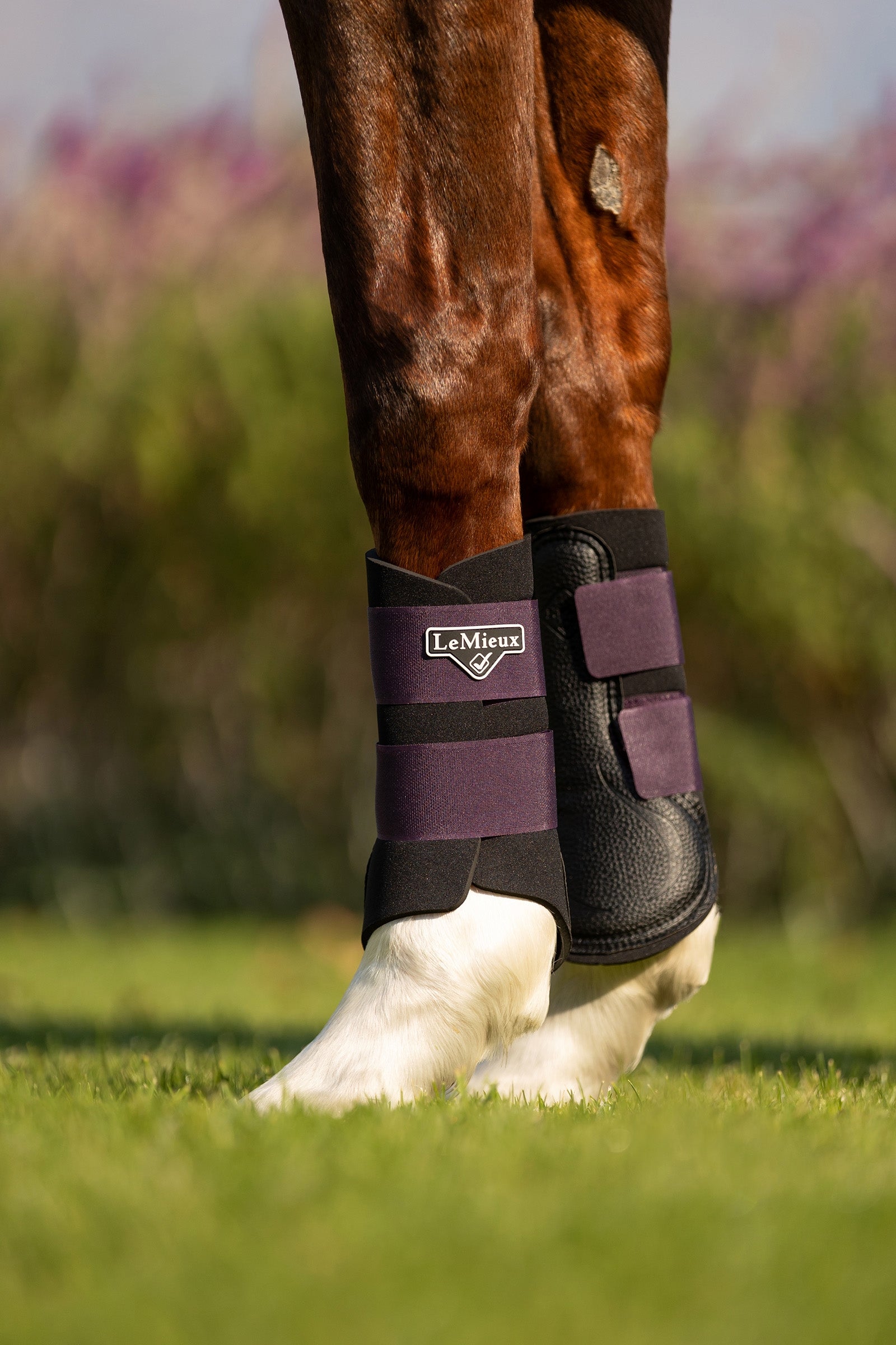 LeMieux Grafter Boots Leg Protection & Hoof Protection for Horses