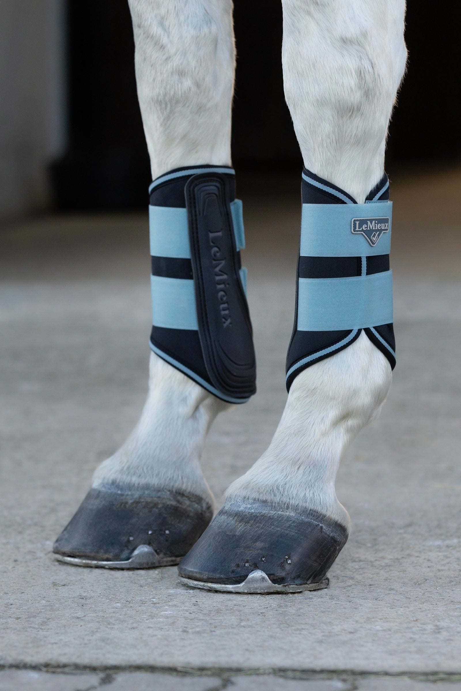 LeMieux Grafter Boots Leg Protection & Hoof Protection for Horses