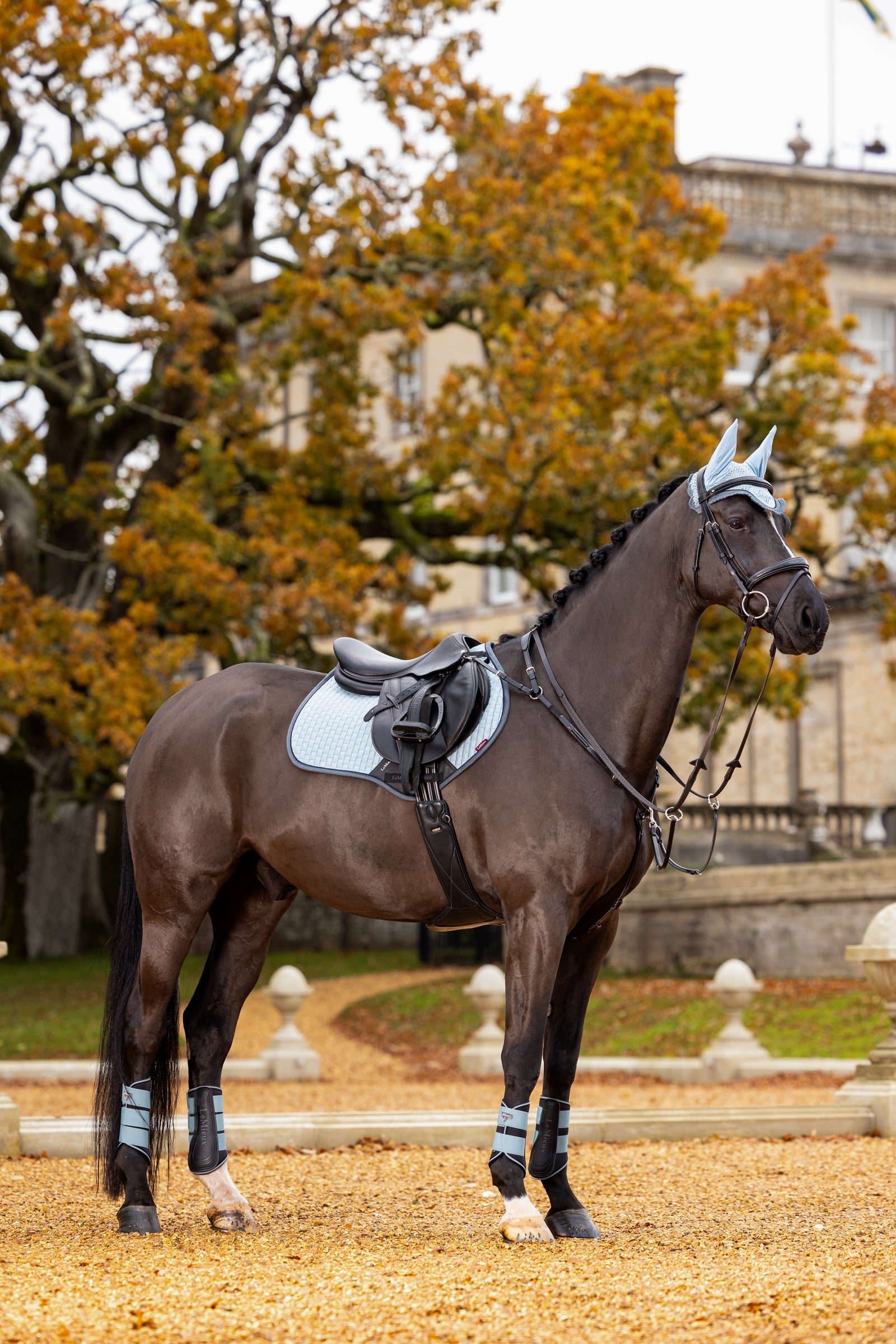 LeMieux Grafter Boots Leg Protection & Hoof Protection for Horses