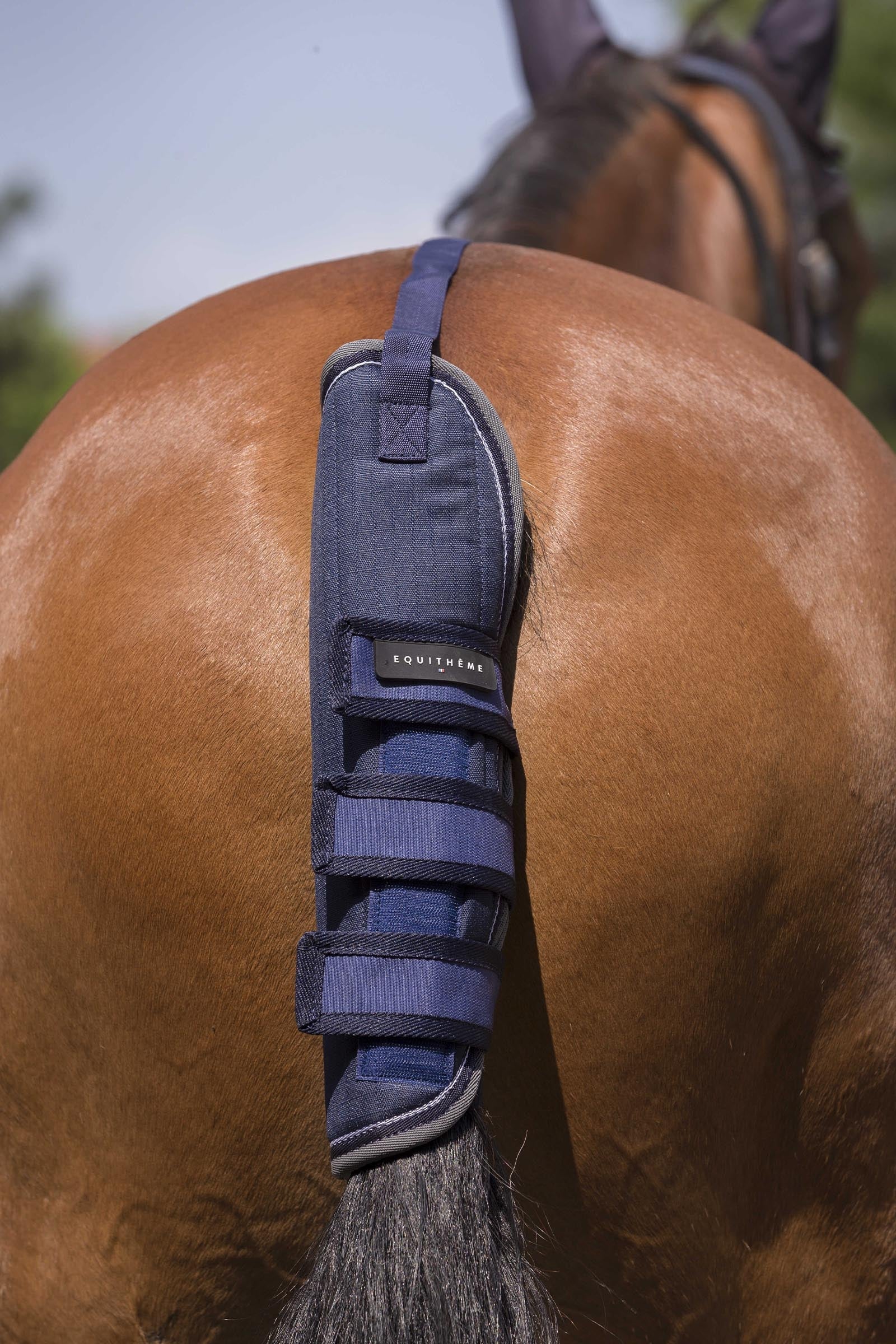 Equi Theme EQUITHÈME TYREX 600D Tail Guard Leg & Hoof Protection