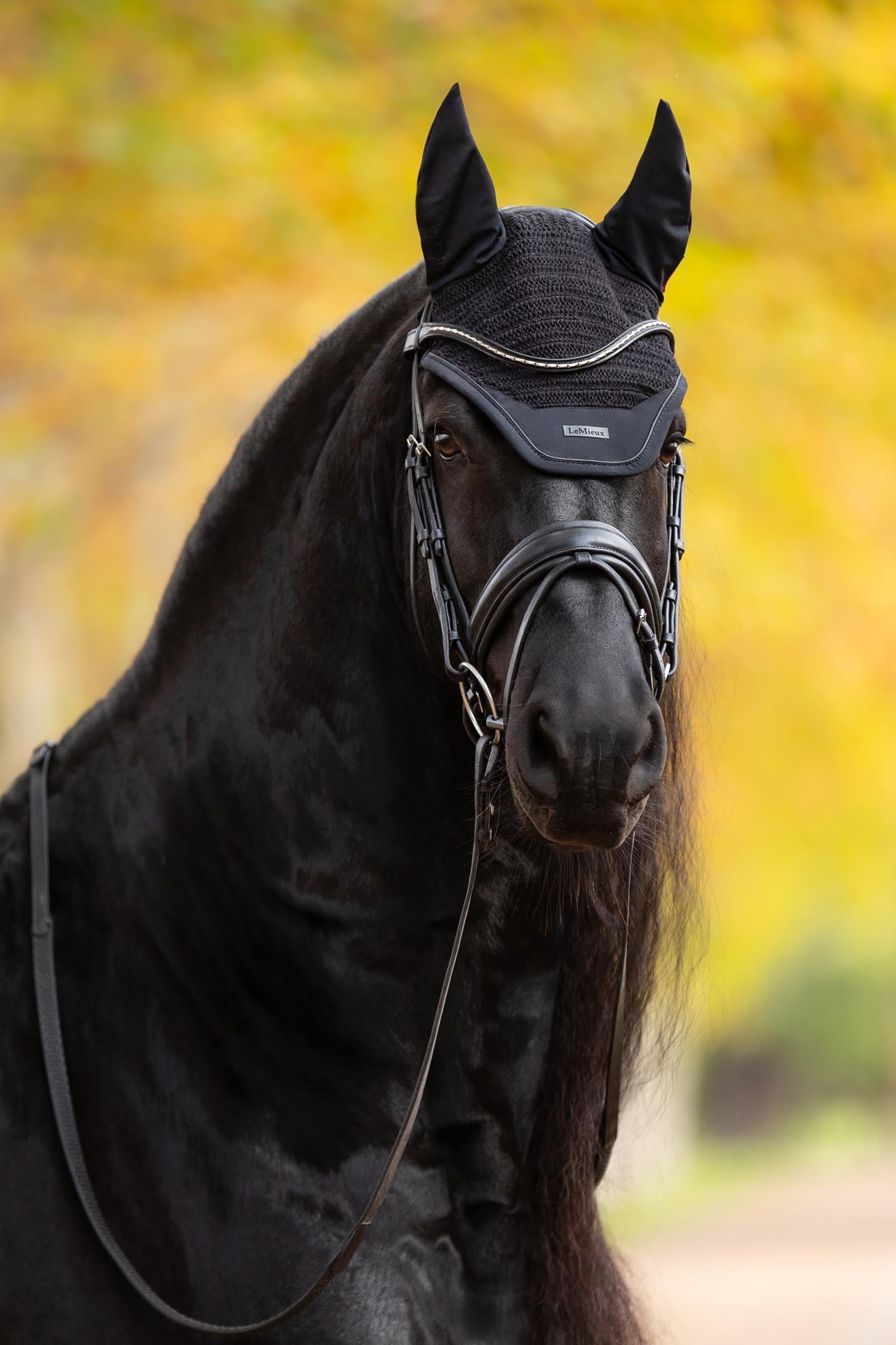 LeMieux Essence Fly Hood Saddle Pads