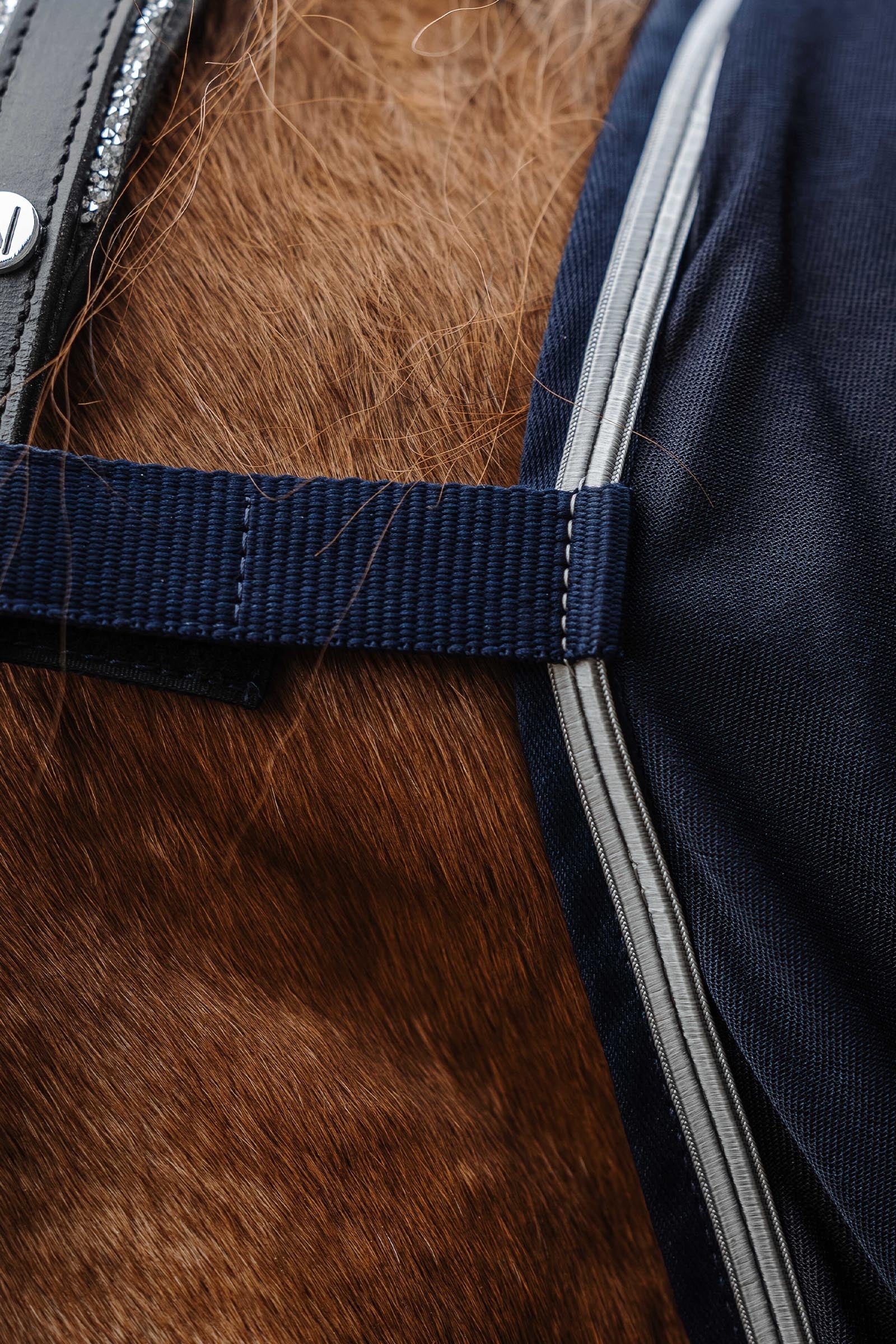 EQUITHÈME Micro Mesh Combo Sheet Horse Rugs