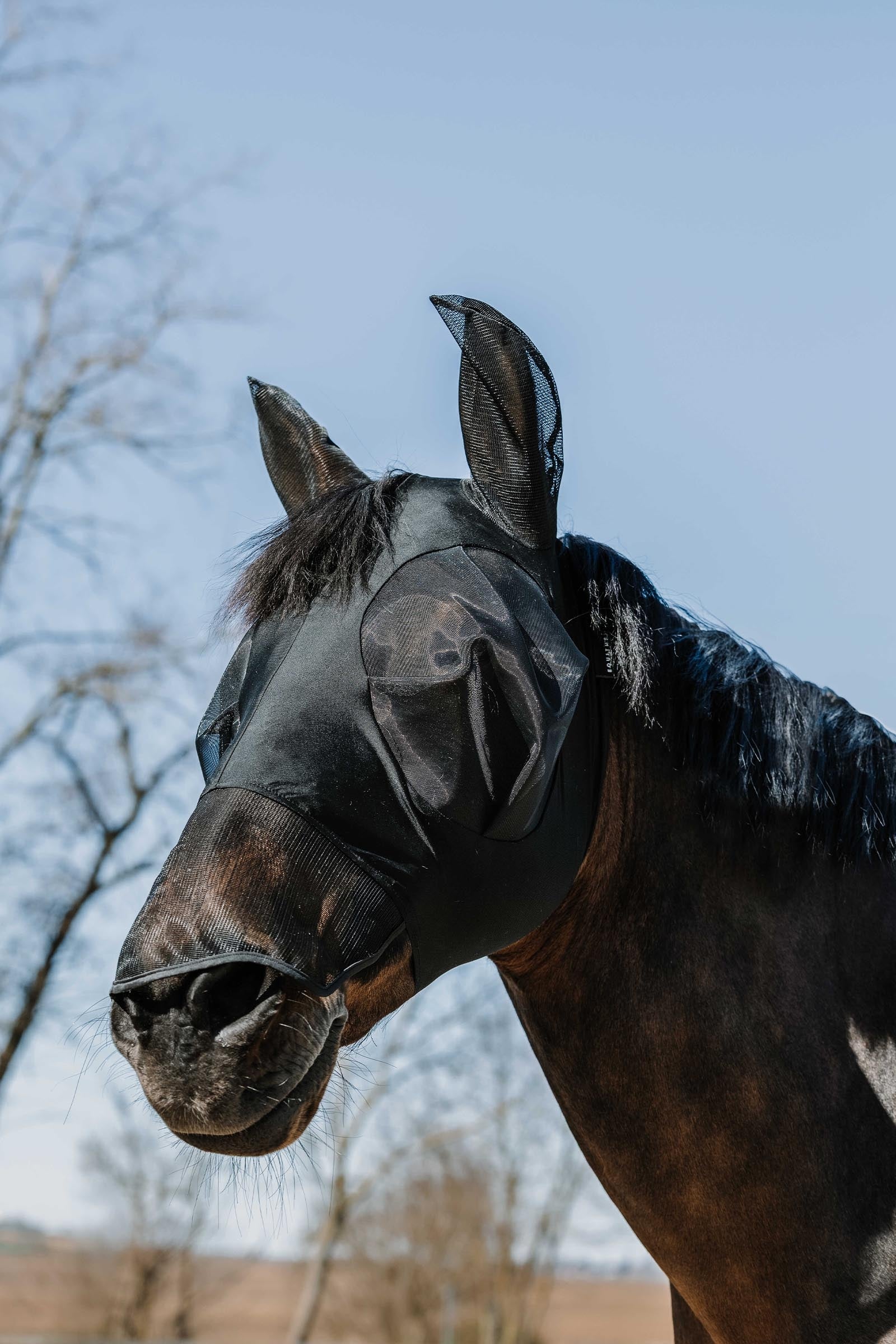 EQUITHÈME Lycra flugmask / UV-mask + mule Flugskydd