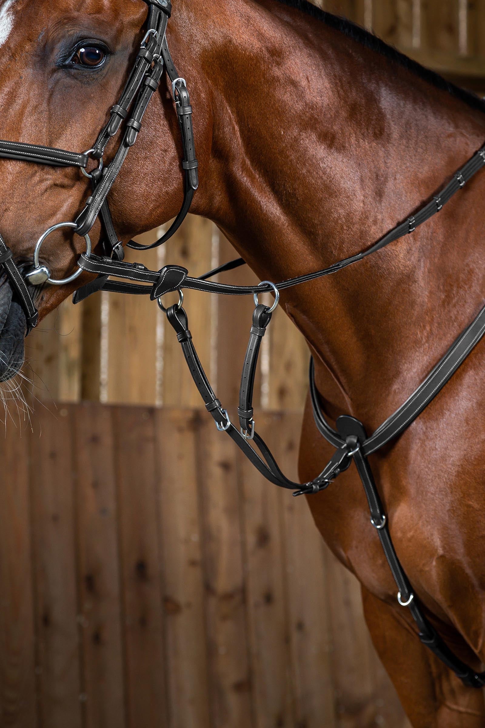 Dy'on Working martingaldel Träns & Tyglar