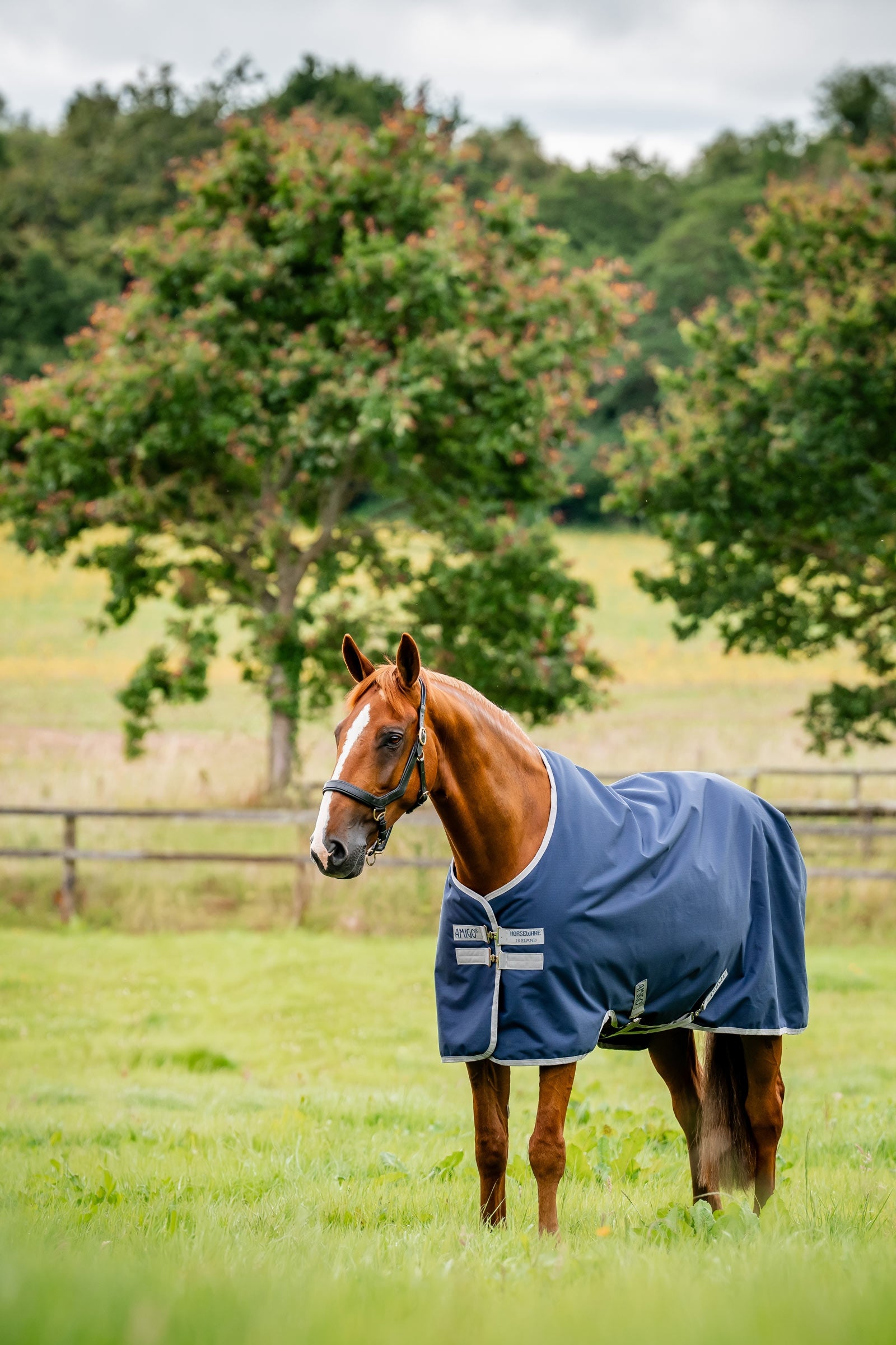 Horseware utetäcke Amigo Ripstop 900D, 200 g Hästtäcken