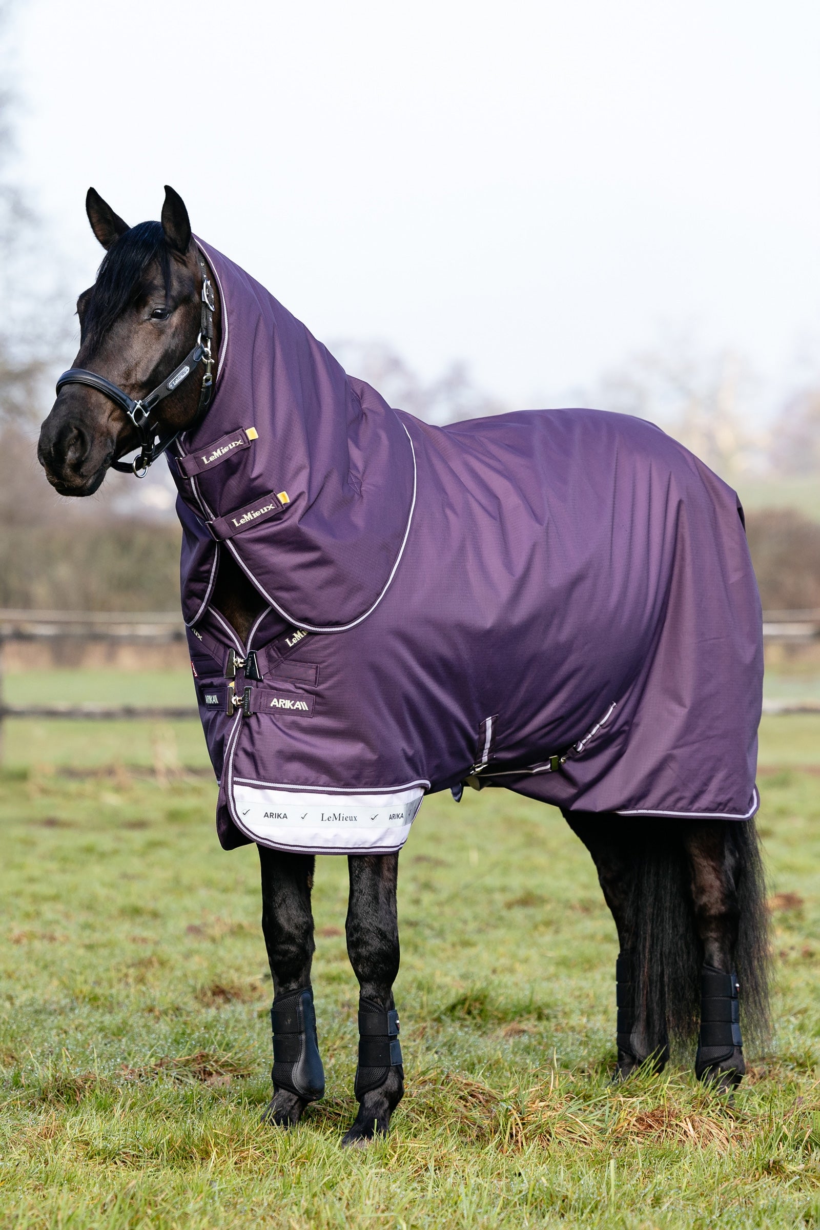 LeMieux Arika Ripstop Turnout Rug With Detachable Neck, 200 g Horse Rugs