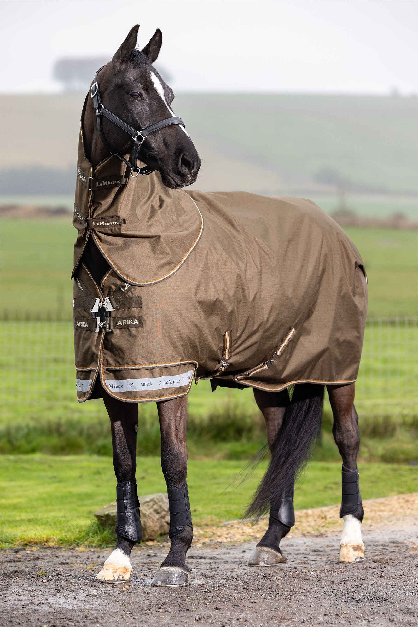 LeMieux Arika Ripstop Turnout Rug With Detachable Neck, 200 g Hästtäcken