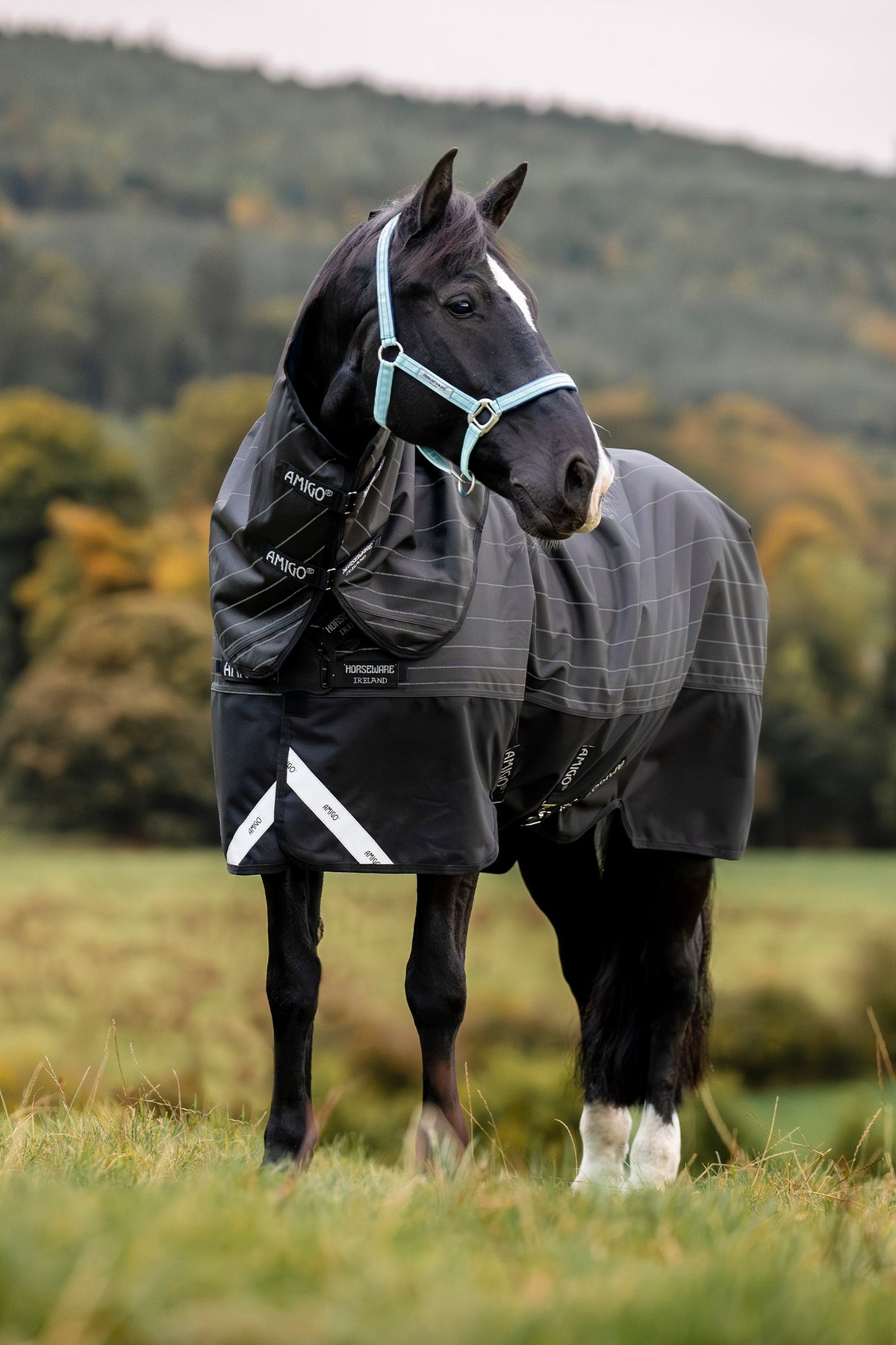Horseware Amigo 1200D FieldSafe Reflectech Plus utetäcke med avtagbar halsdel, 0 g Hästtäcken