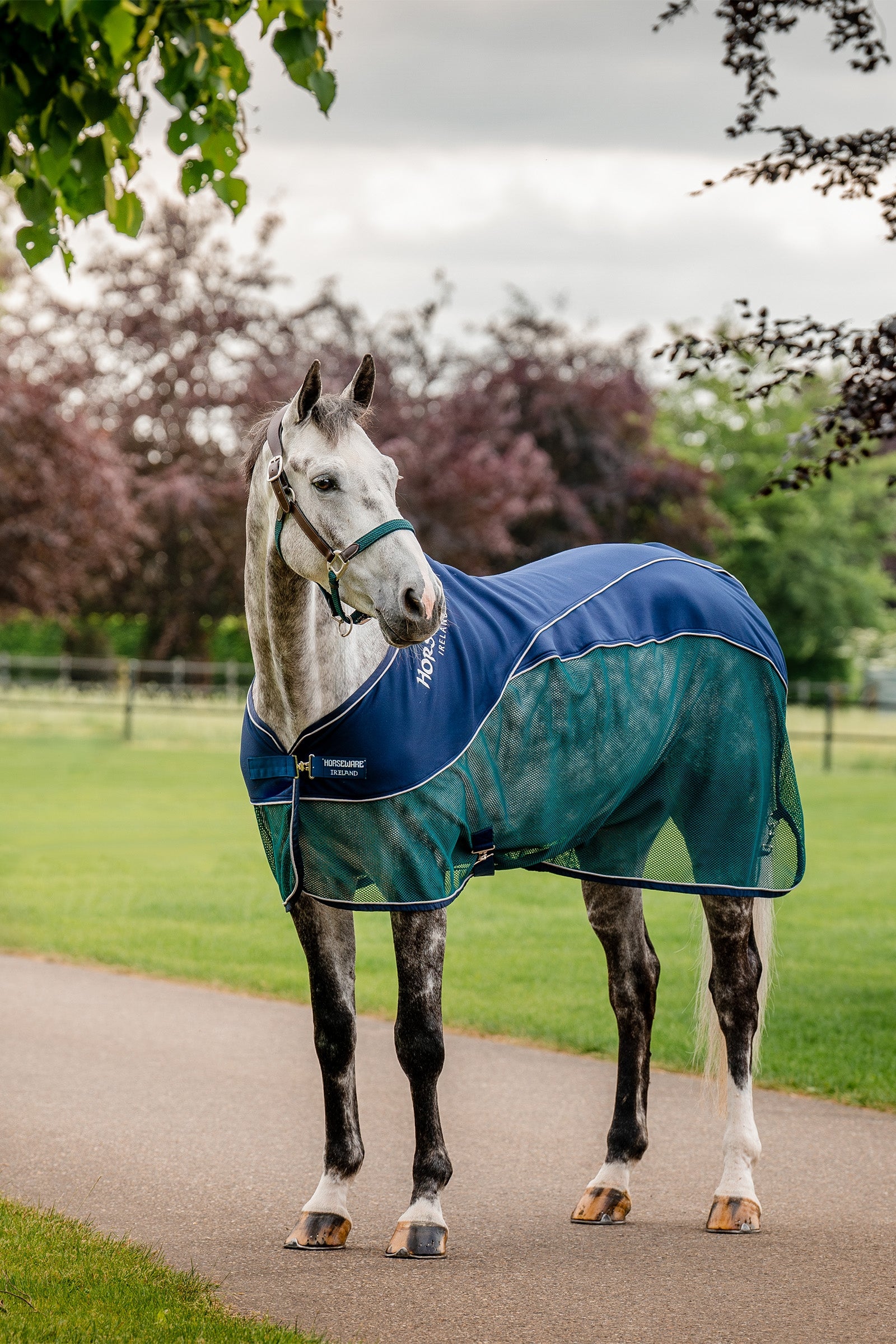Horseware Signature Sport Svettfilt Hästtäcken