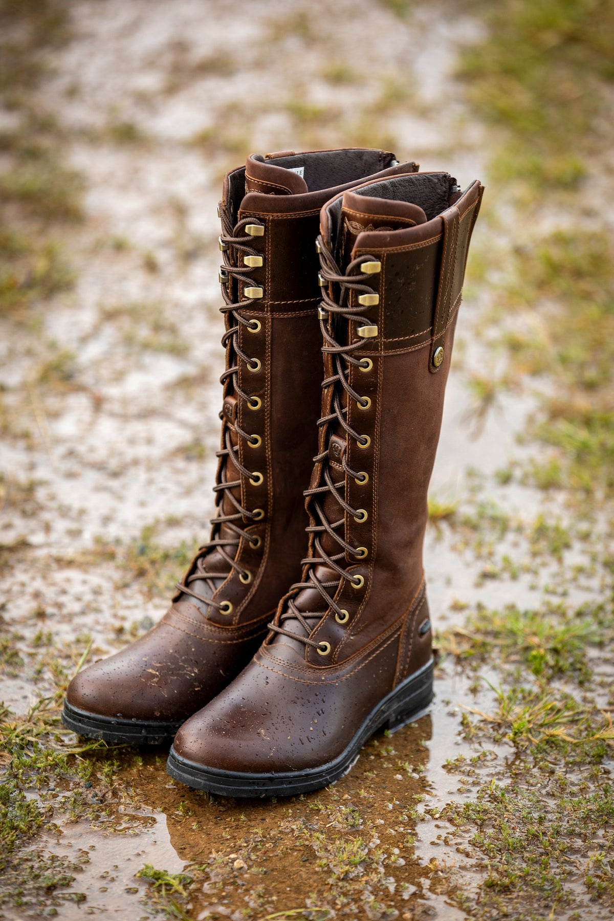 Ariat Women's Wythburn Waterproof Boot Riding Boots & Riding Shoes