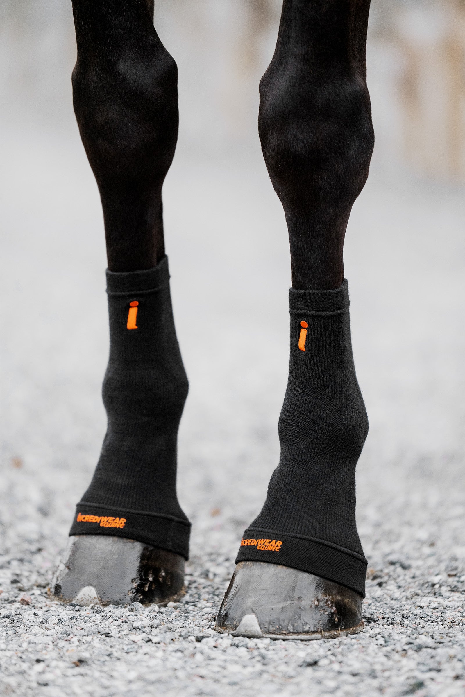 Incrediwear Circulation Hoof Socks hovstrumpor Leg Protection & Hoof Protection for Horses